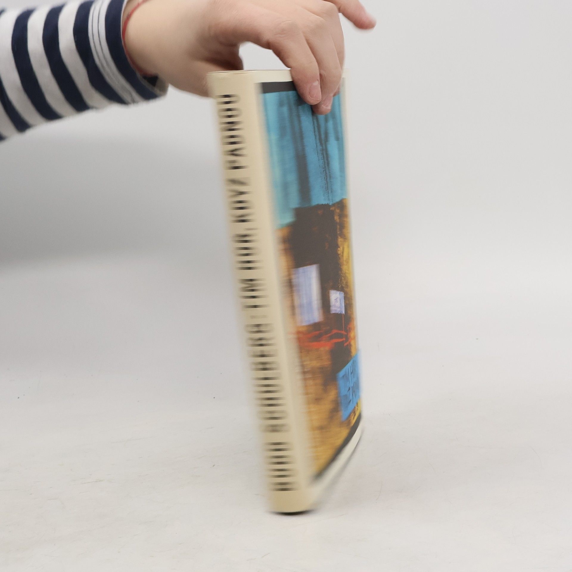 Budd Schulberg Tím hůř, když padnou