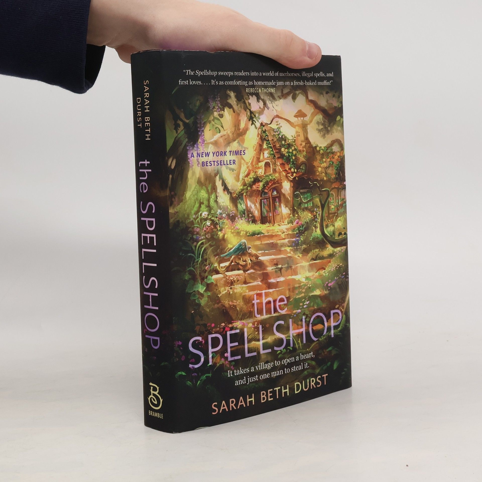 Sarah Beth Durst The Spellshop. Special Edition