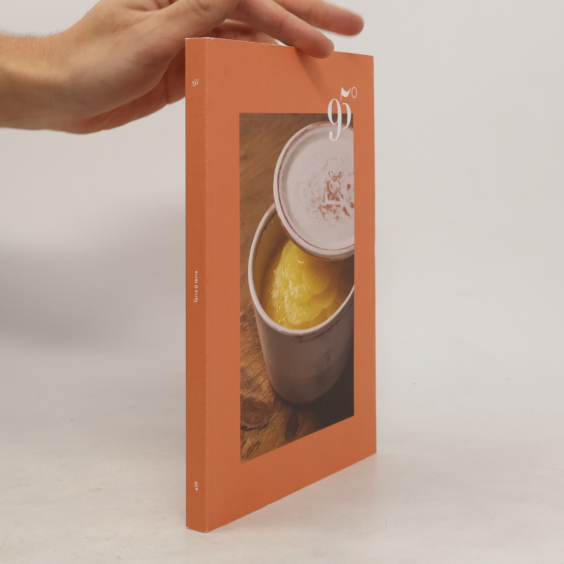 Collectif d'auteurs 95° Terre a terre n. 39