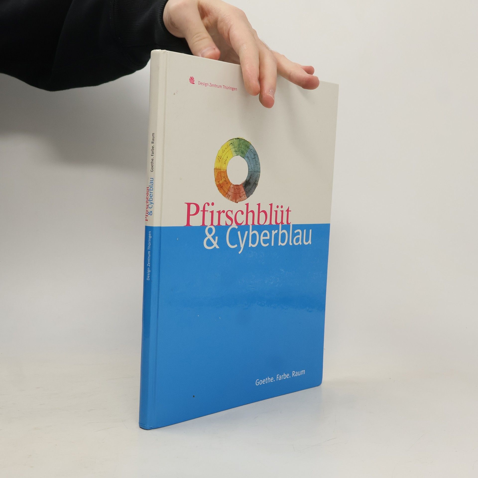 AA.VV. Pfirschblüt & Cyberblau: Goethe, Farbe, Raum.