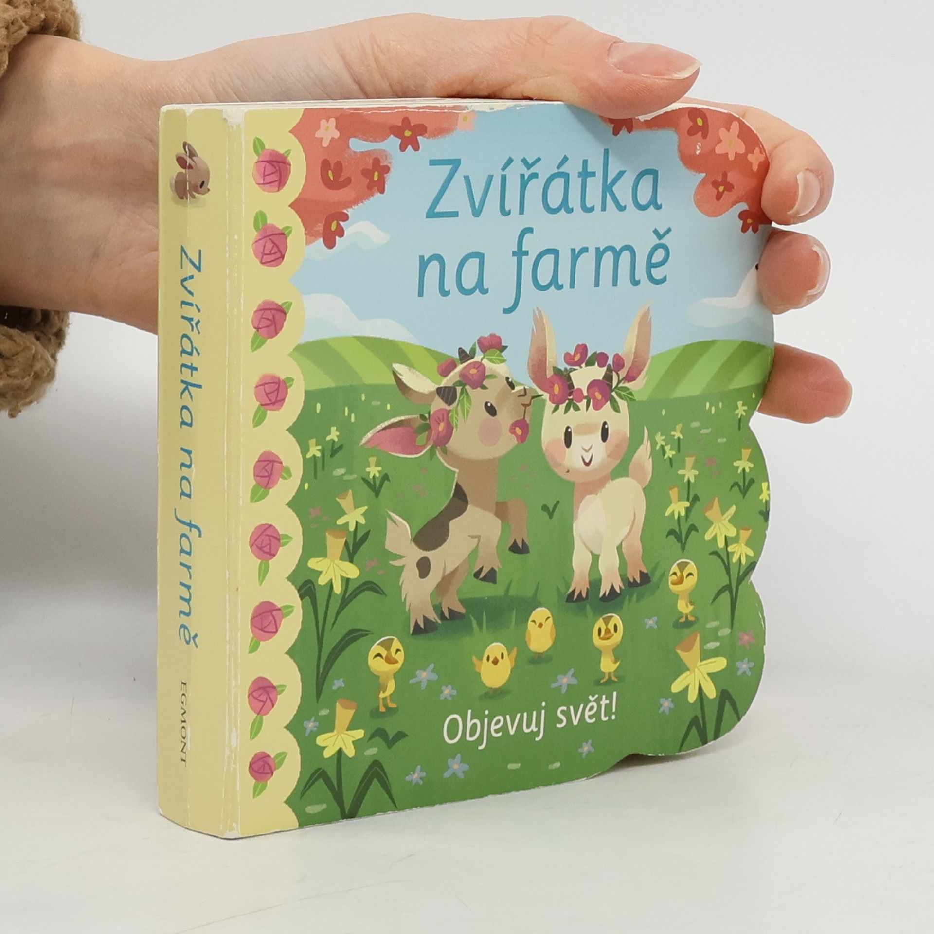 Zvířátka na farmě : Objevuj svět!