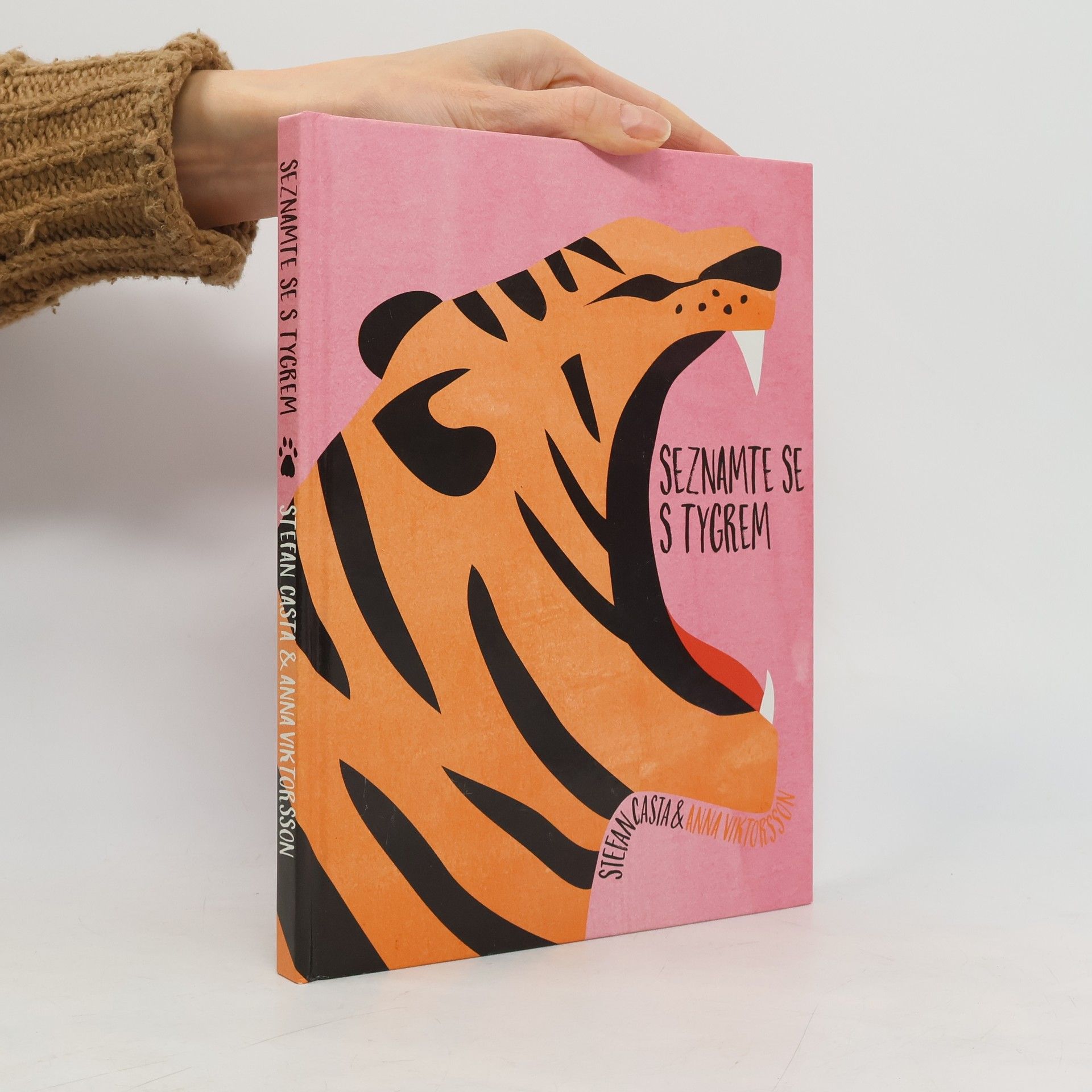 Seznamte se s tygrem