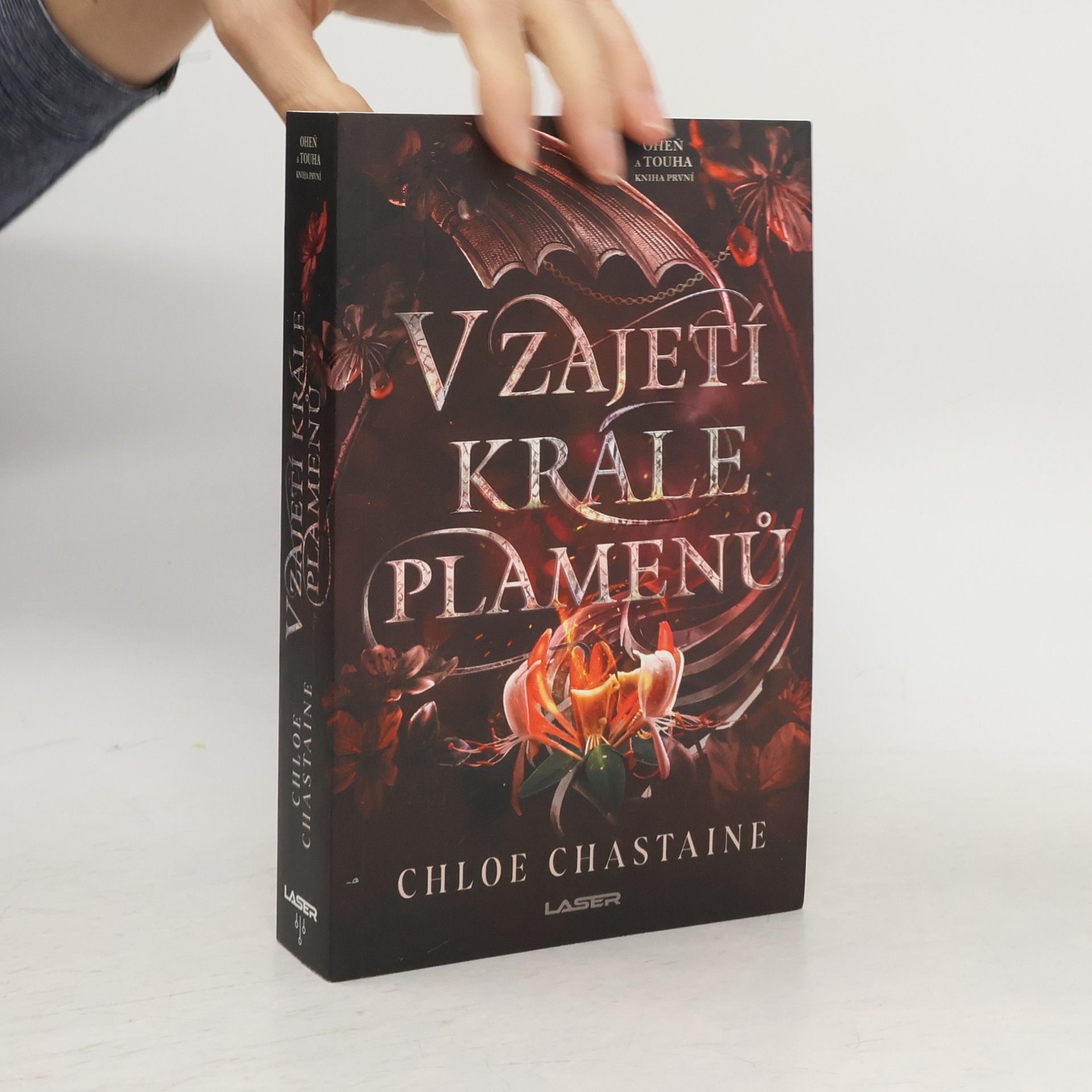 V zajetí krále plamenů