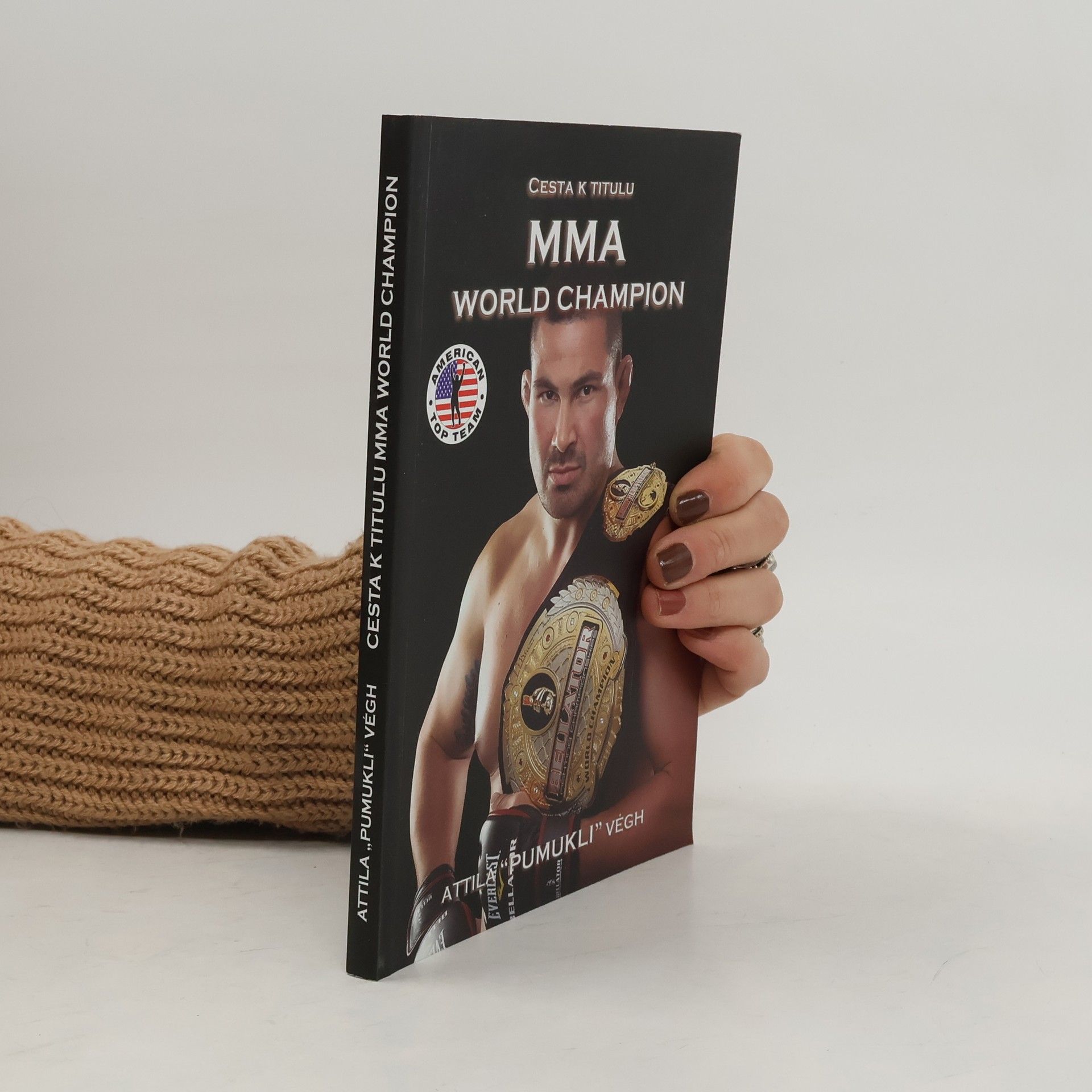 Cesta k titulu MMA World Champion