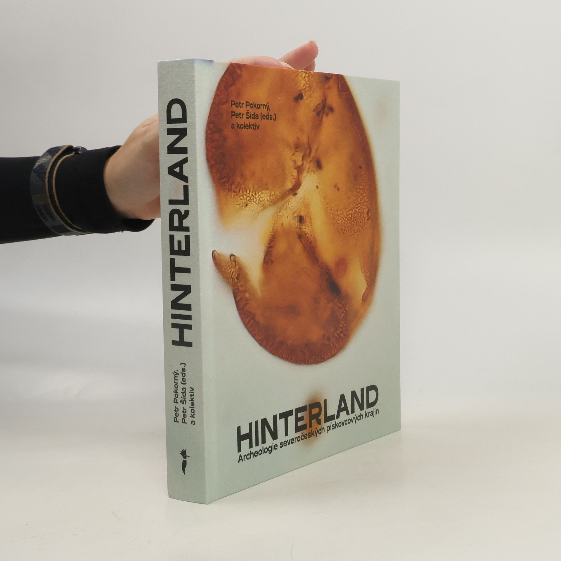 Hinterland. Archeologie severočeských pískovcových krajin