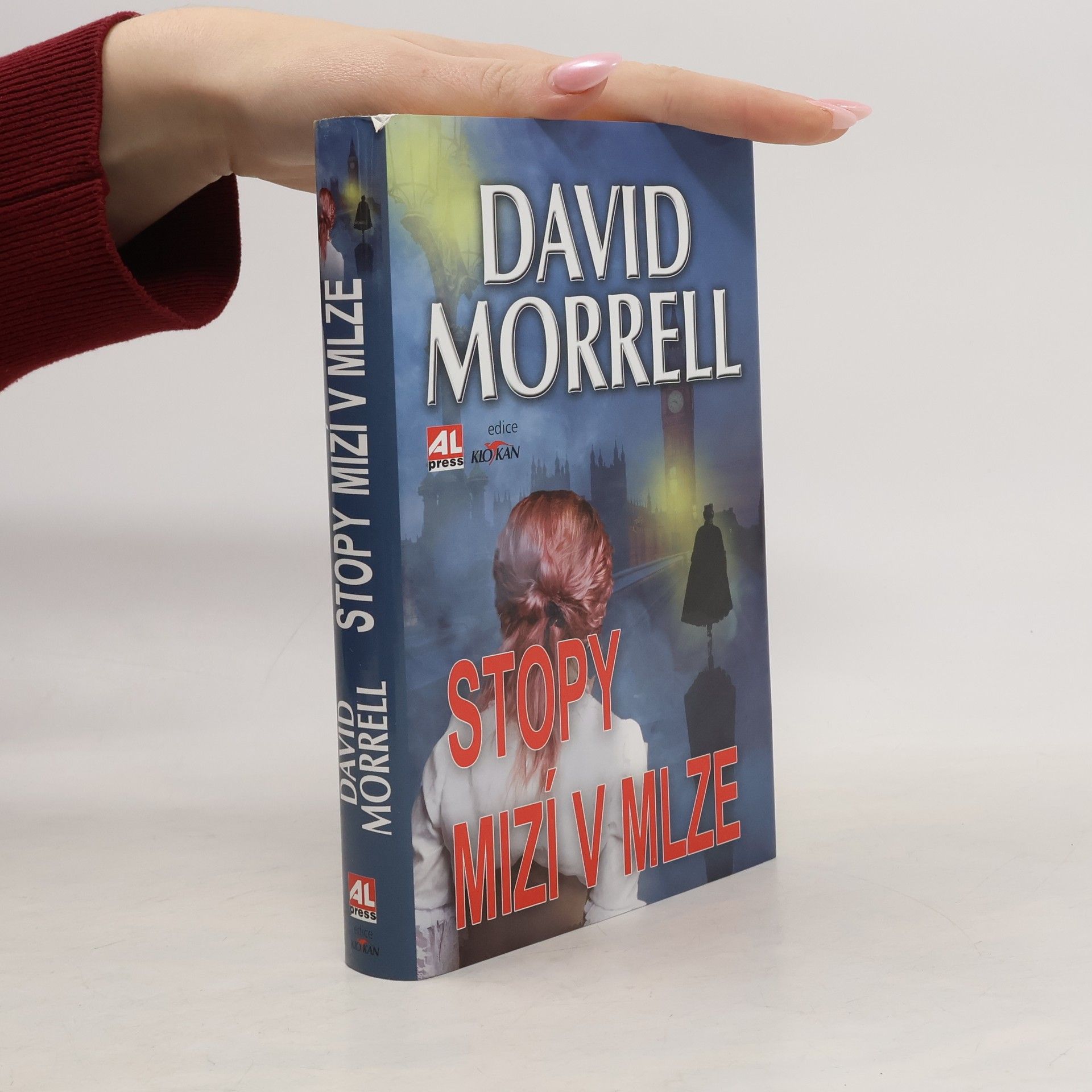 David Morrell Stopy mizí v mlze