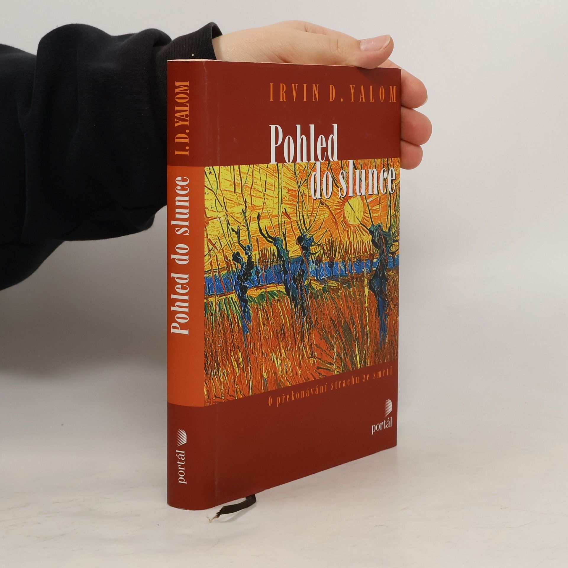 Irvin D. Yalom Pohled do slunce