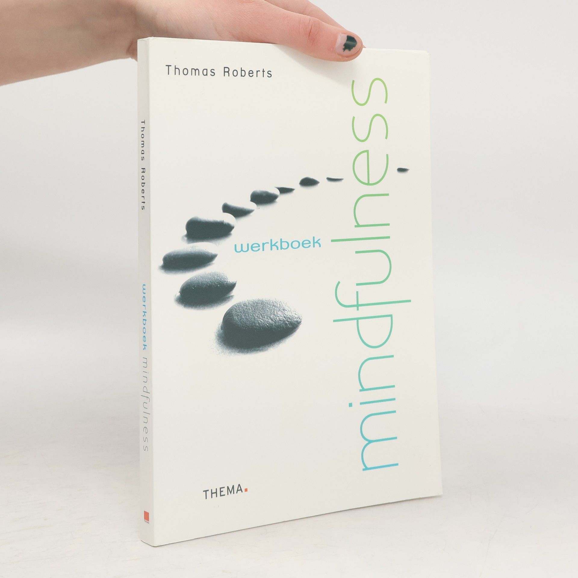 Thomas Roberts Werkboek mindfulness