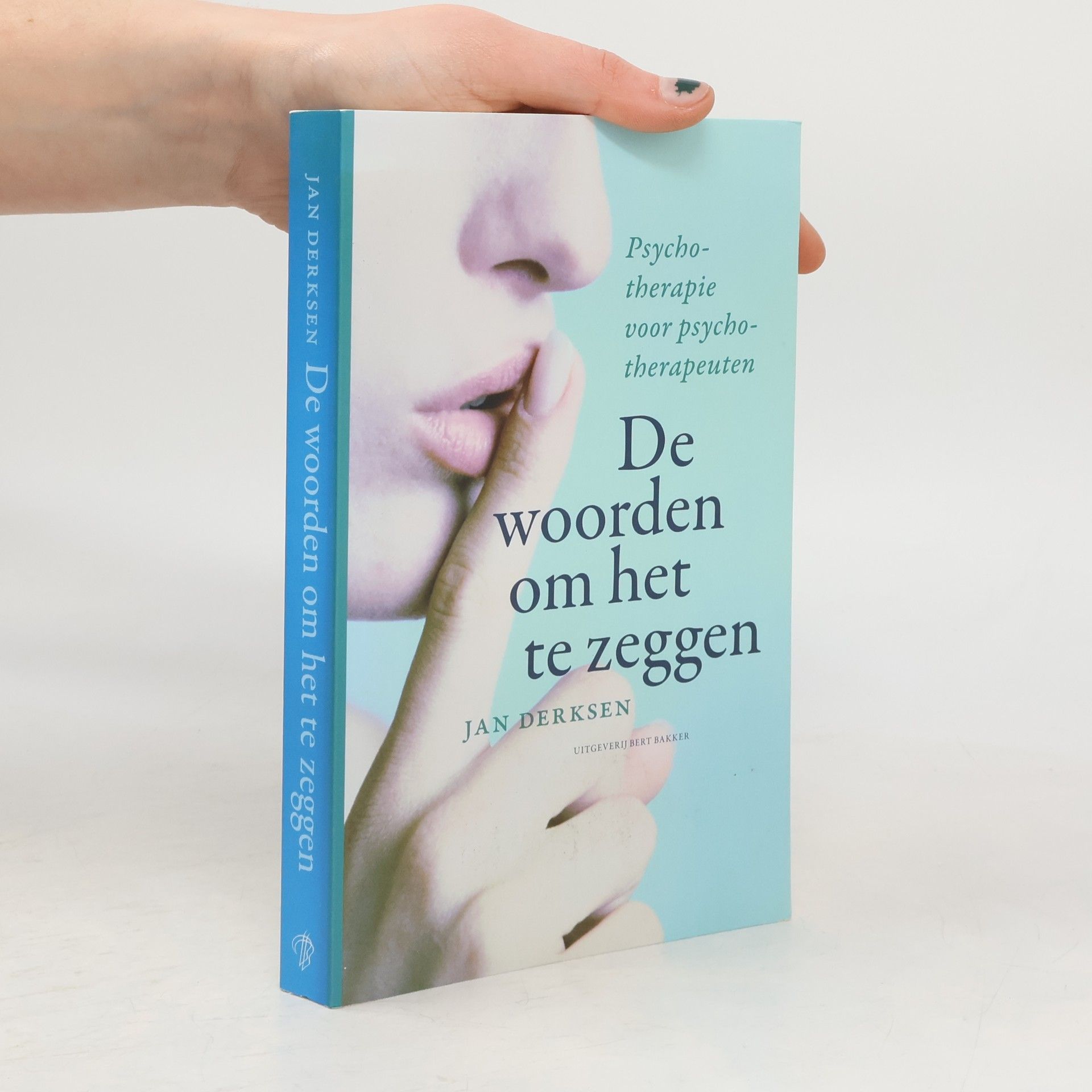 Johannes Jacobus Lambertus Derksen De woorden om het te zeggen