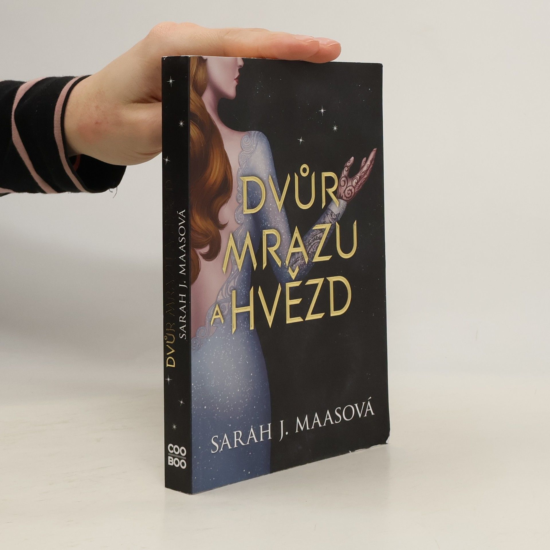 Sarah J. Maas Dvůr mrazu a hvězd