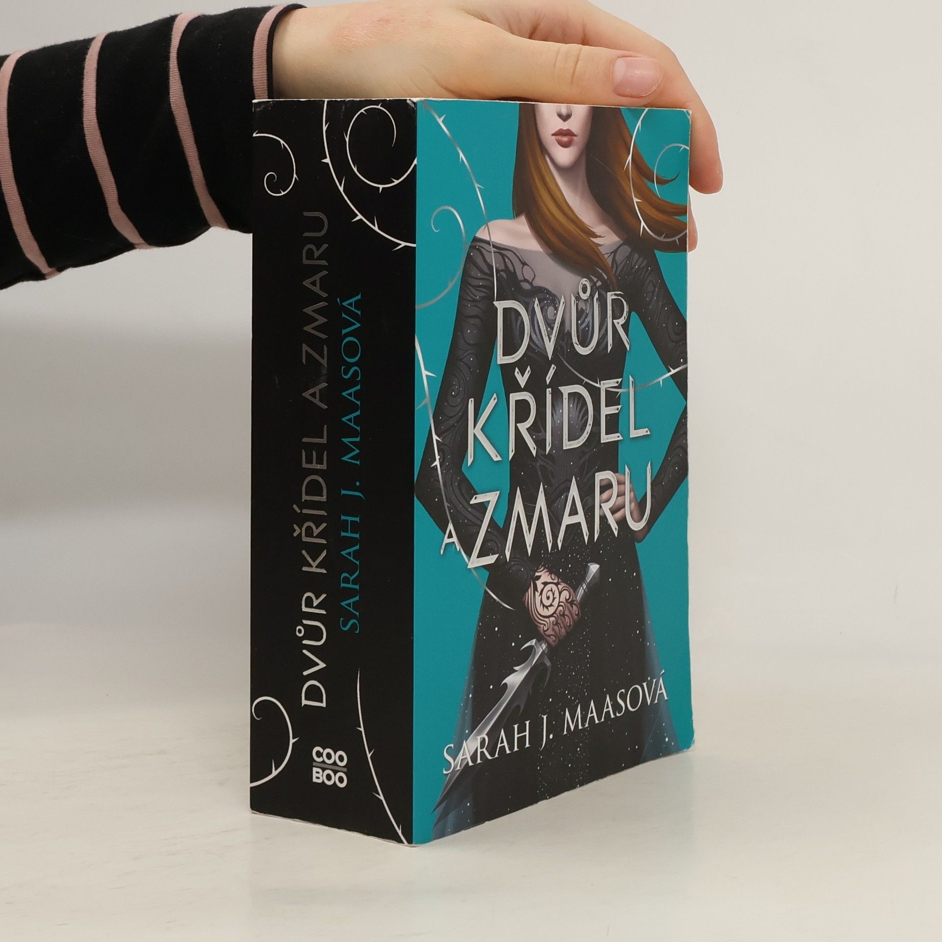 Dvůr křídel a zmaru