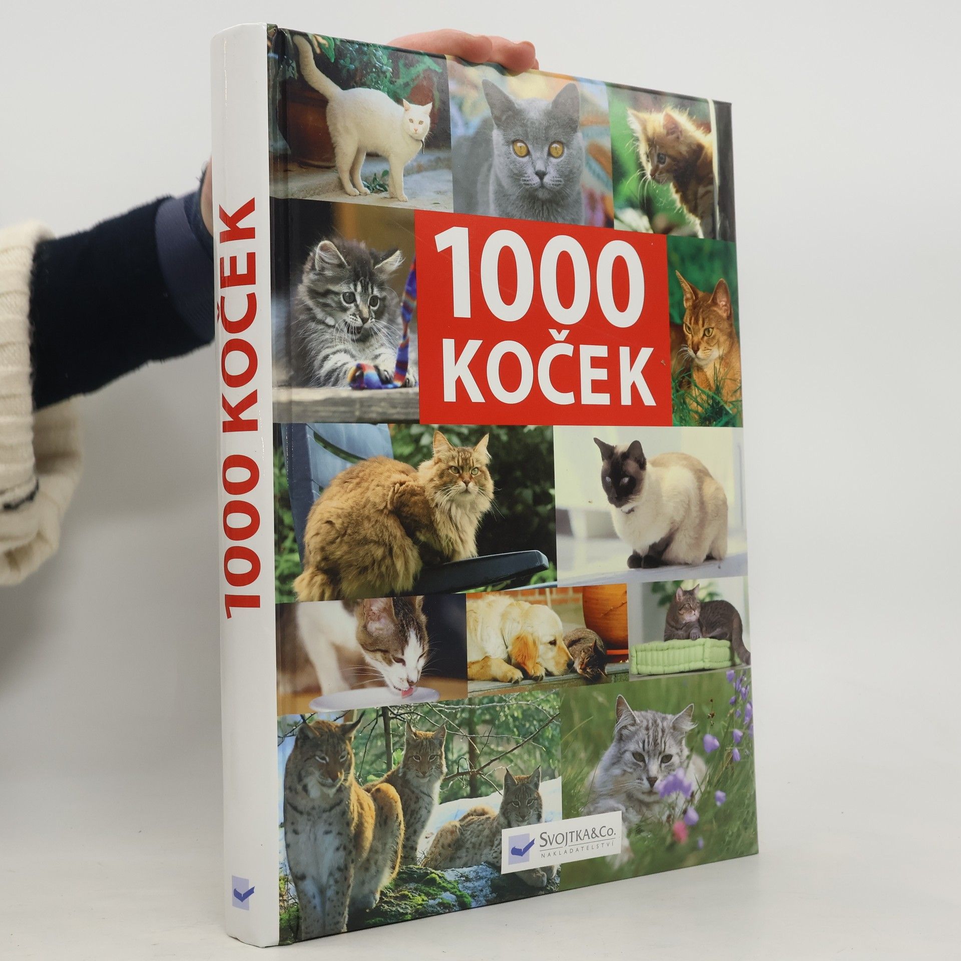 Auteurscollectief 1000 koček