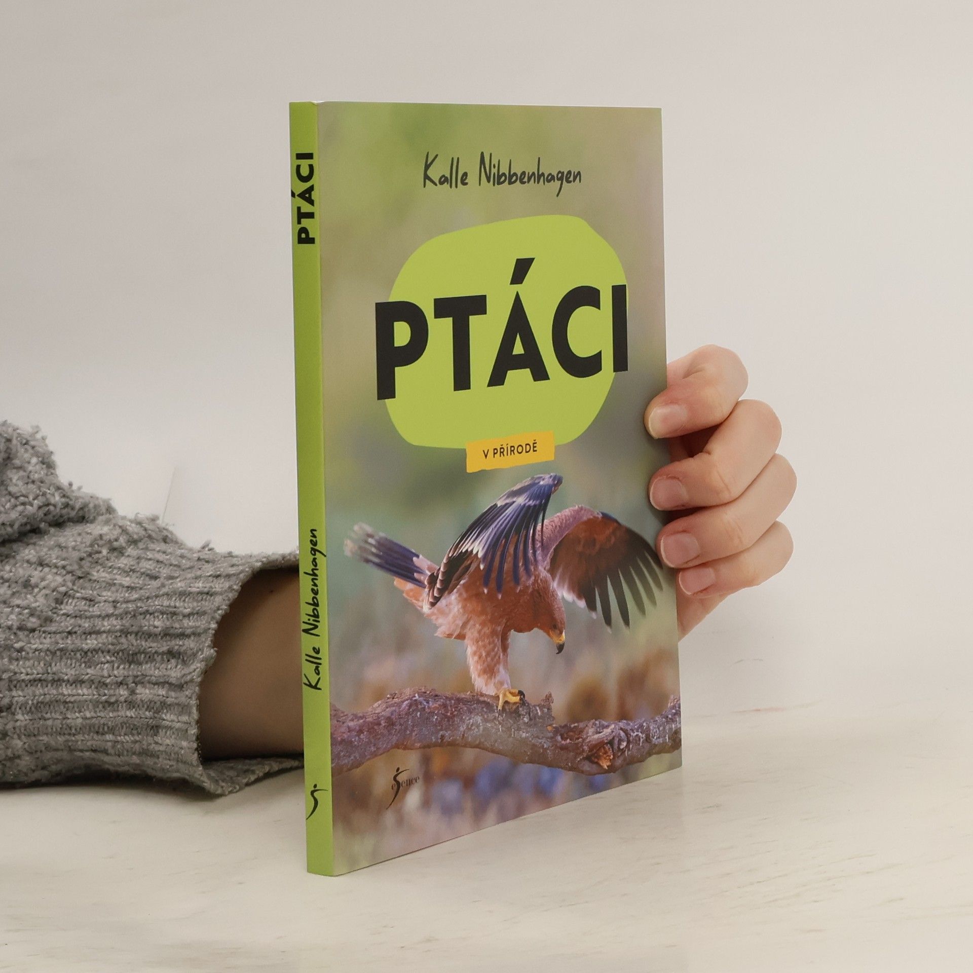 Ptáci v přírodě