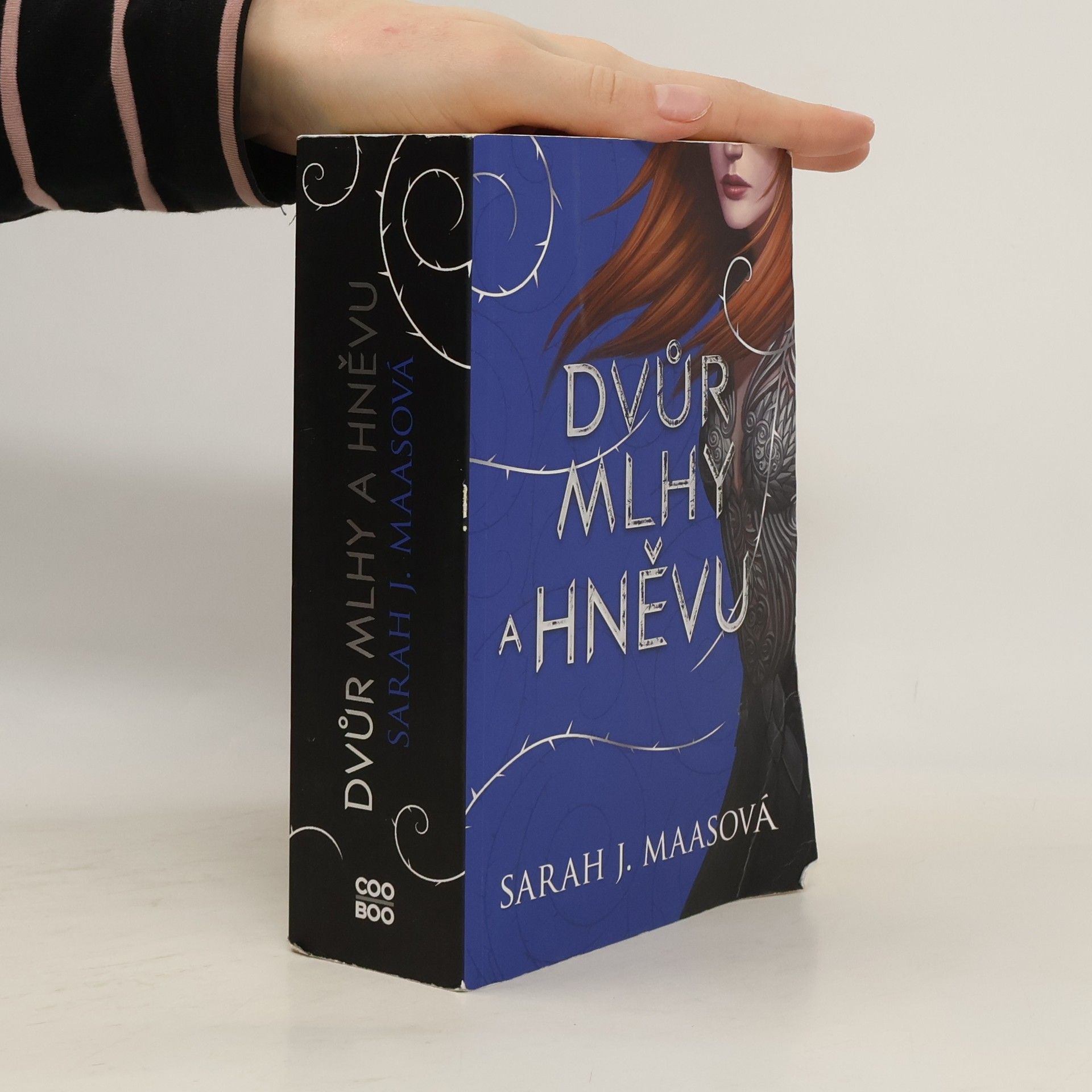 Sarah J. Maas Dvůr mlhy a hněvu