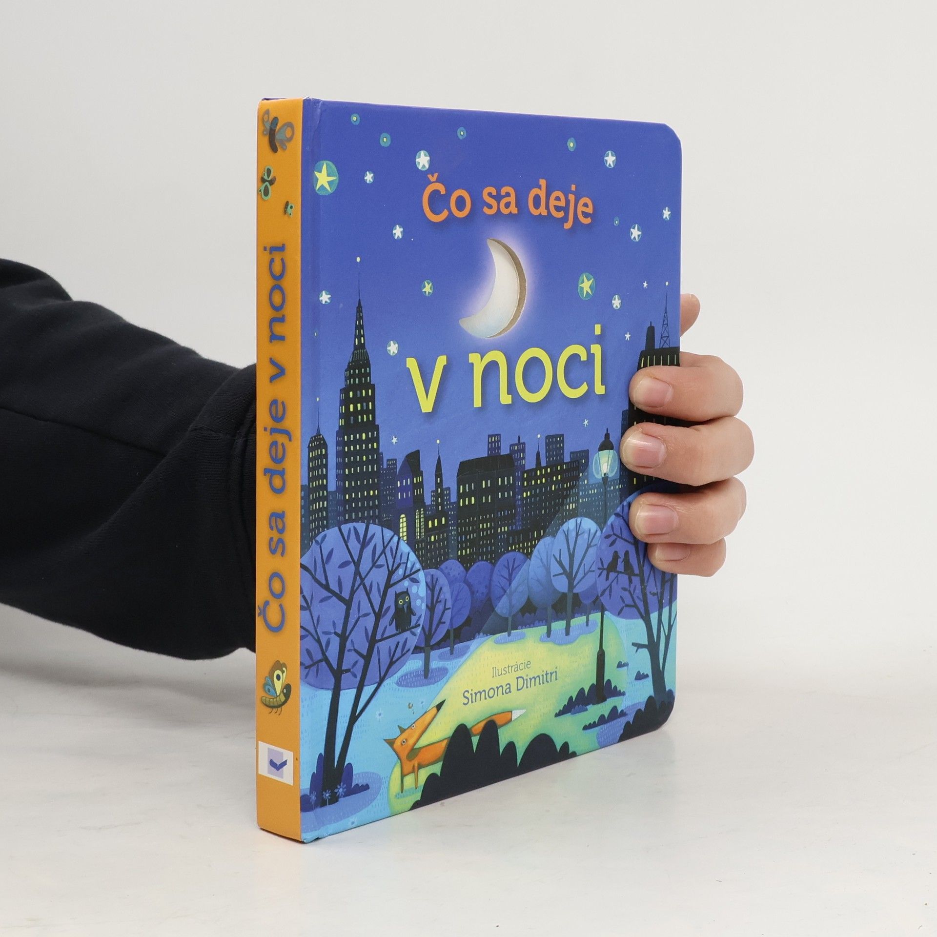 Simona Dimitri Čo sa deje v noci