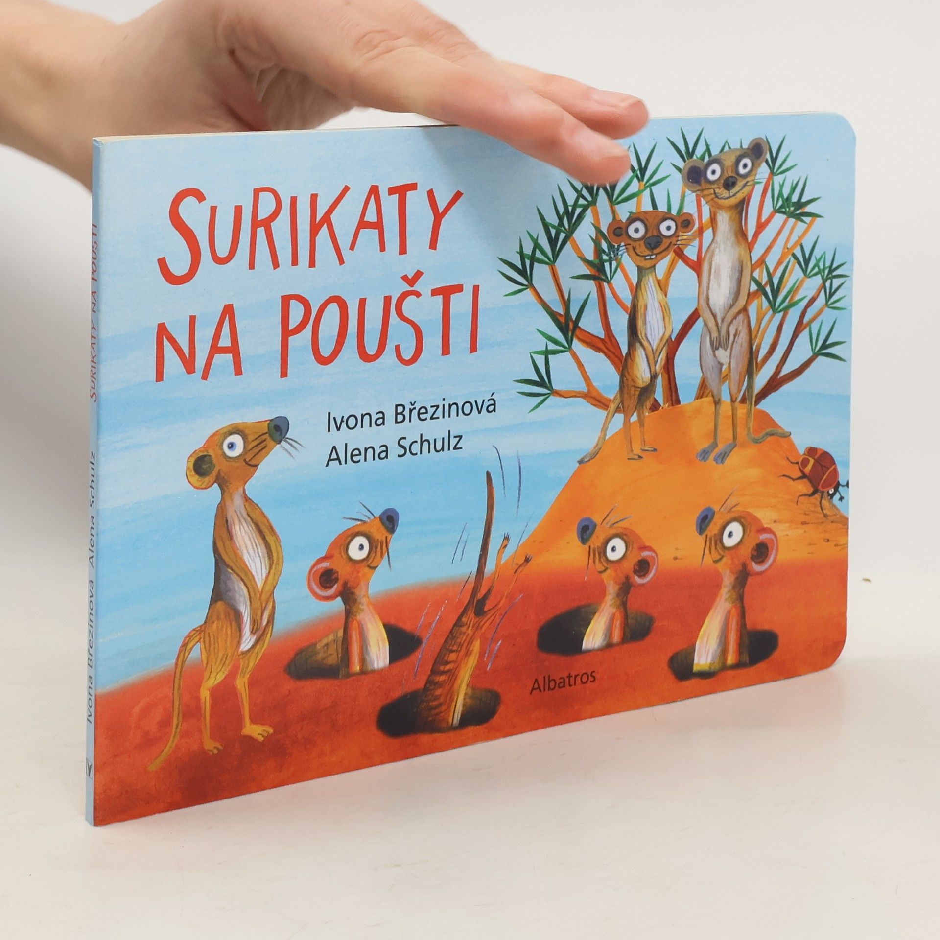 Ivona Březinová Surikaty na poušti