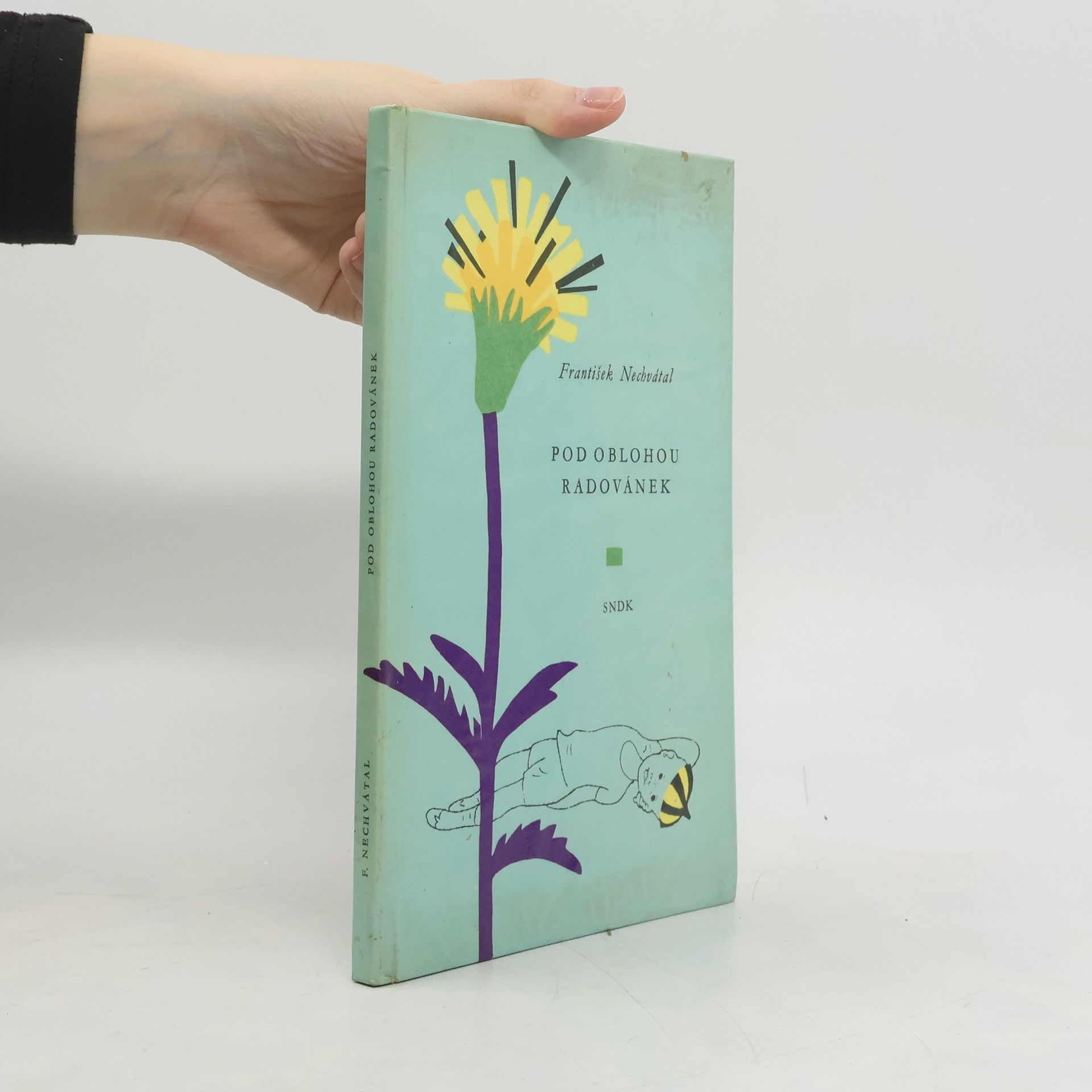 František Nechvátal Pod oblohou radovánek
