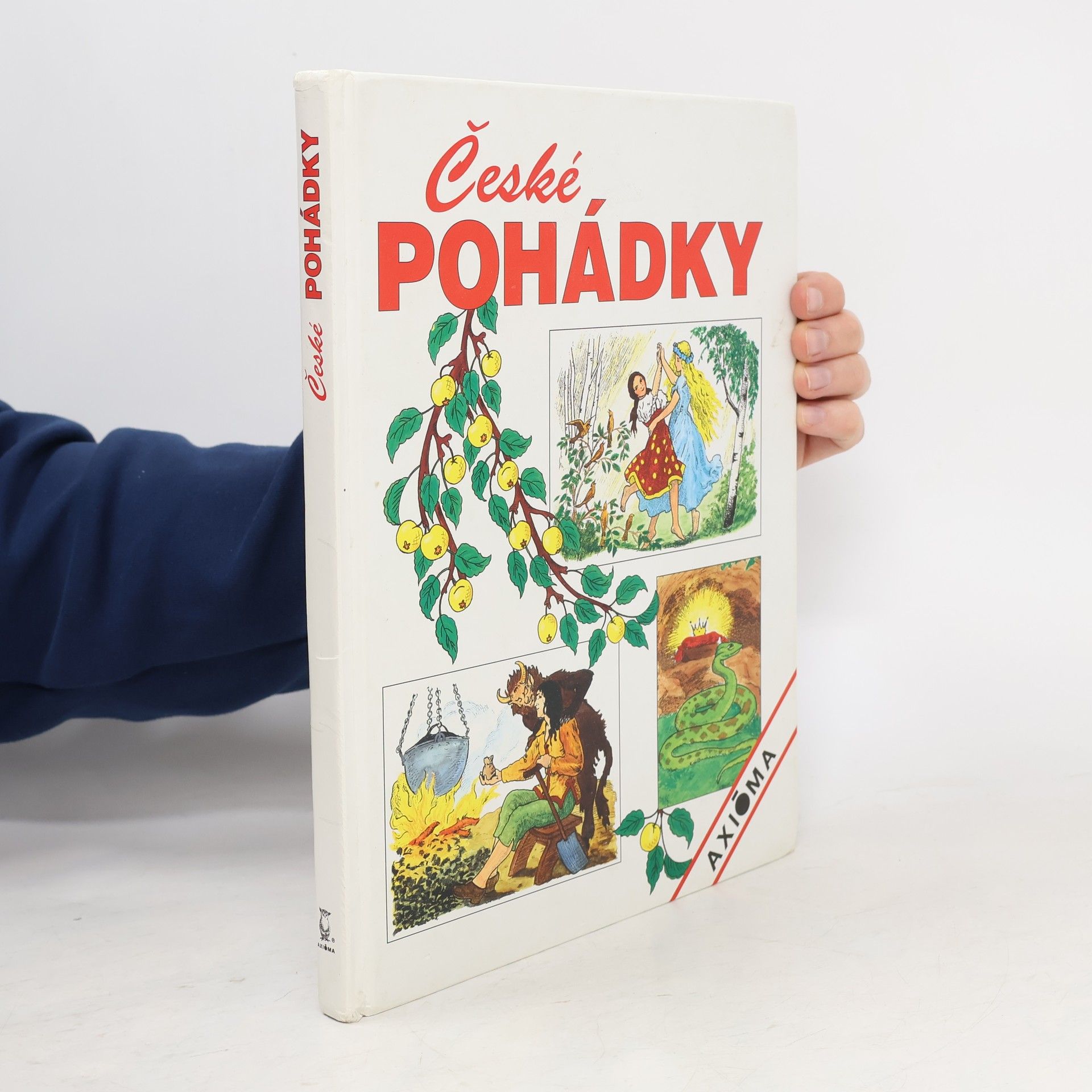 Collectif d'auteurs České pohádky
