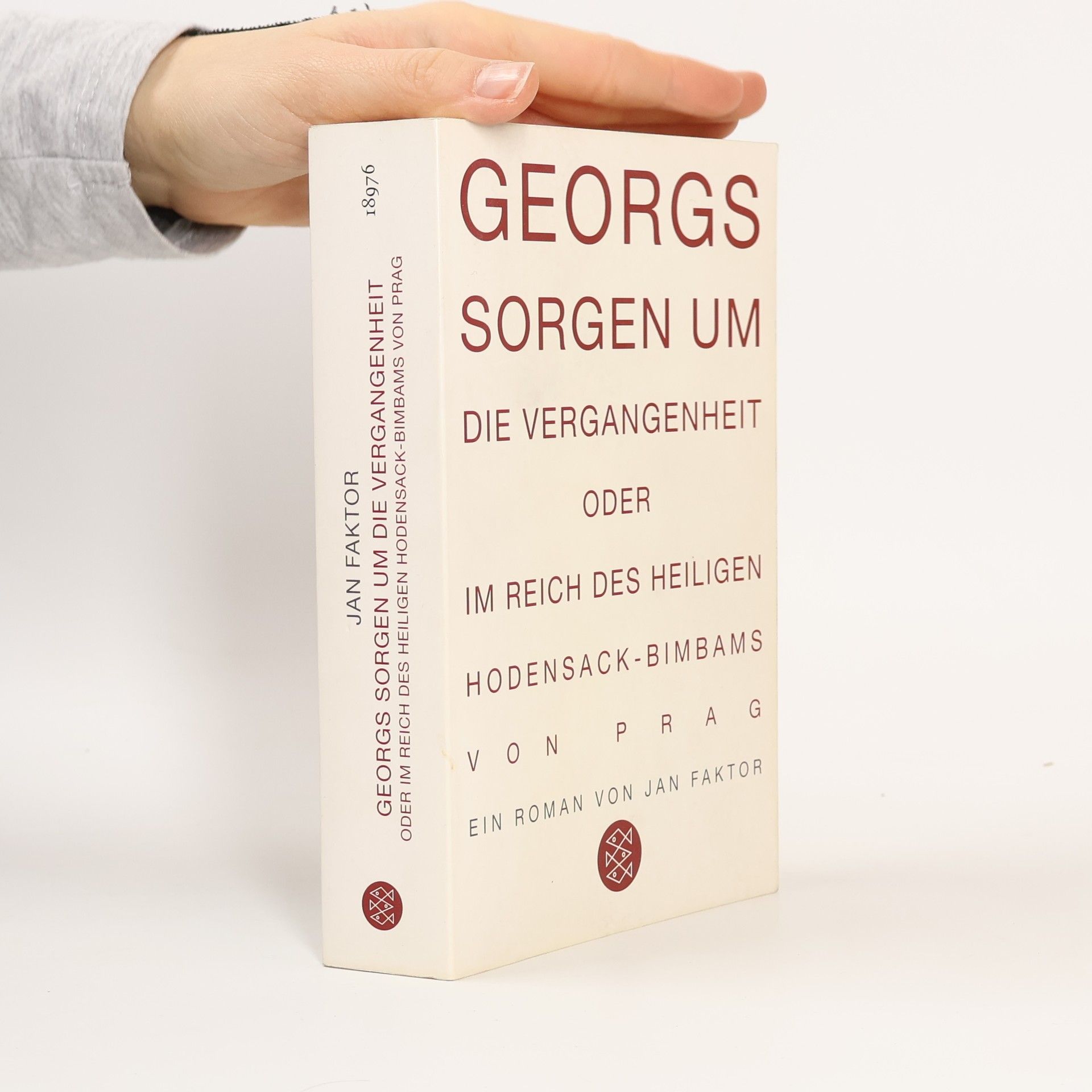 Jan Faktor Georgs Sorgen um die Vergangenheit oder Im Reich des heiligen Hodensack-Bimbams von Prag. Roman