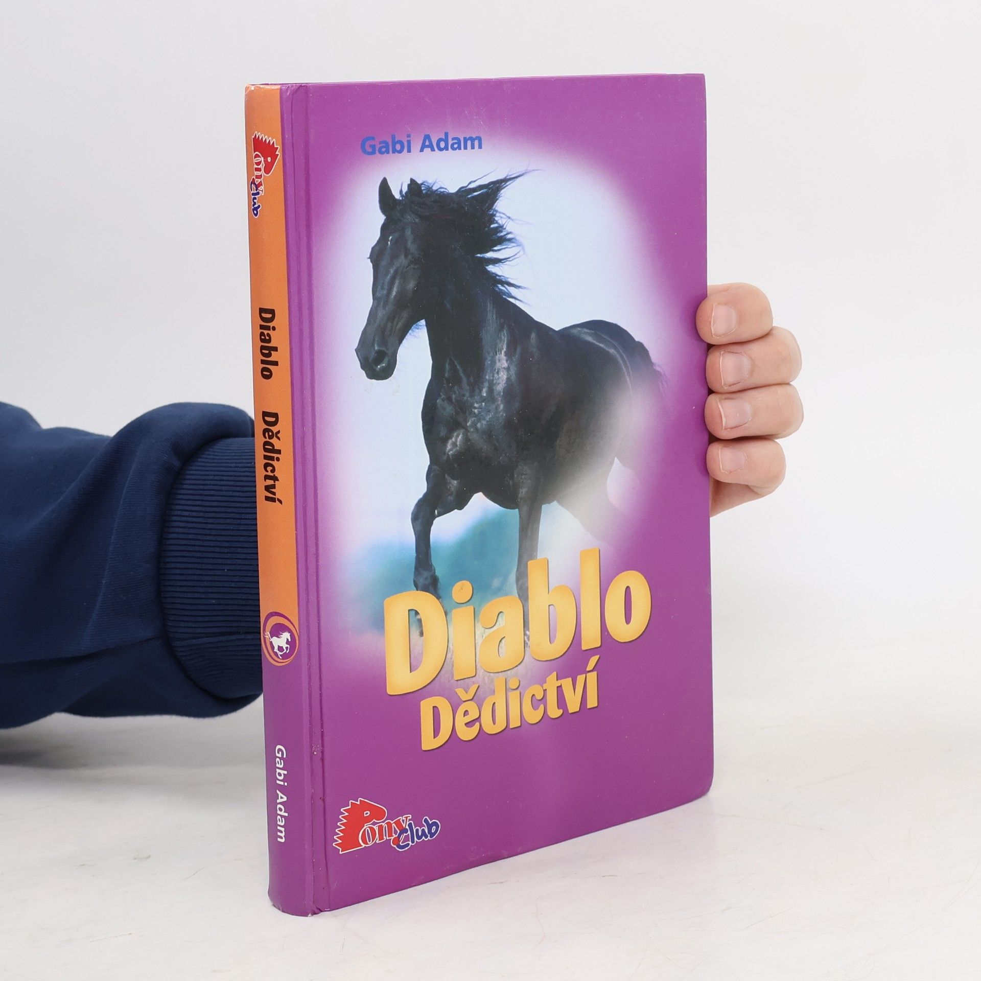 Gabi Adam Diablo. Dědictví