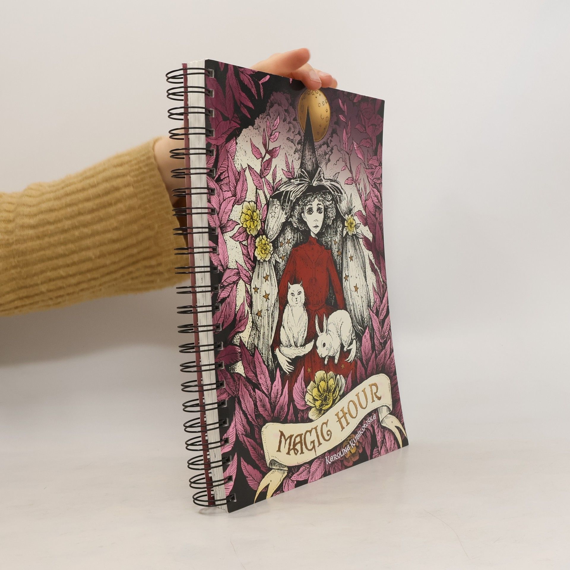 Collectif d'auteurs Magic Hour