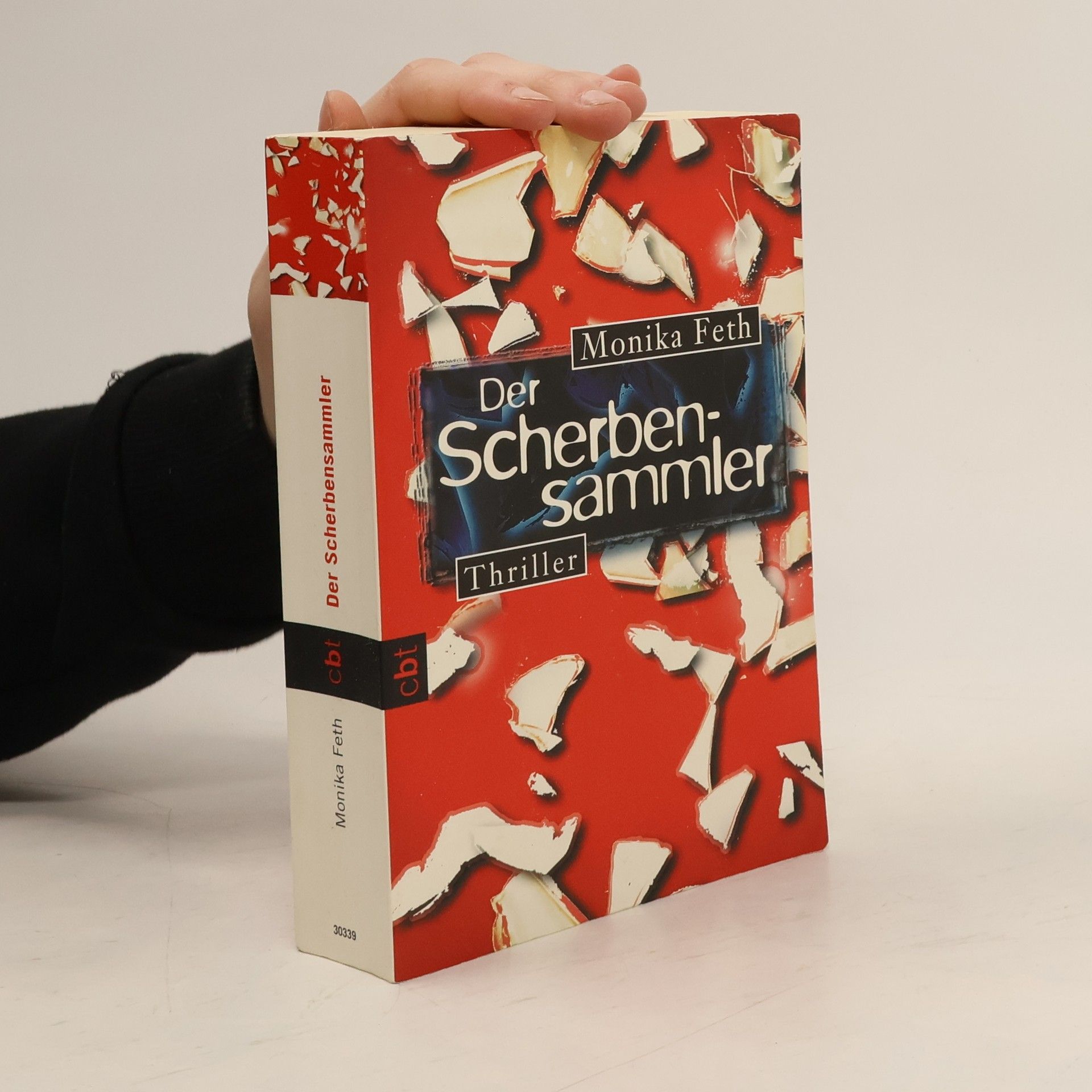 Monika Feth Der Scherbensammler