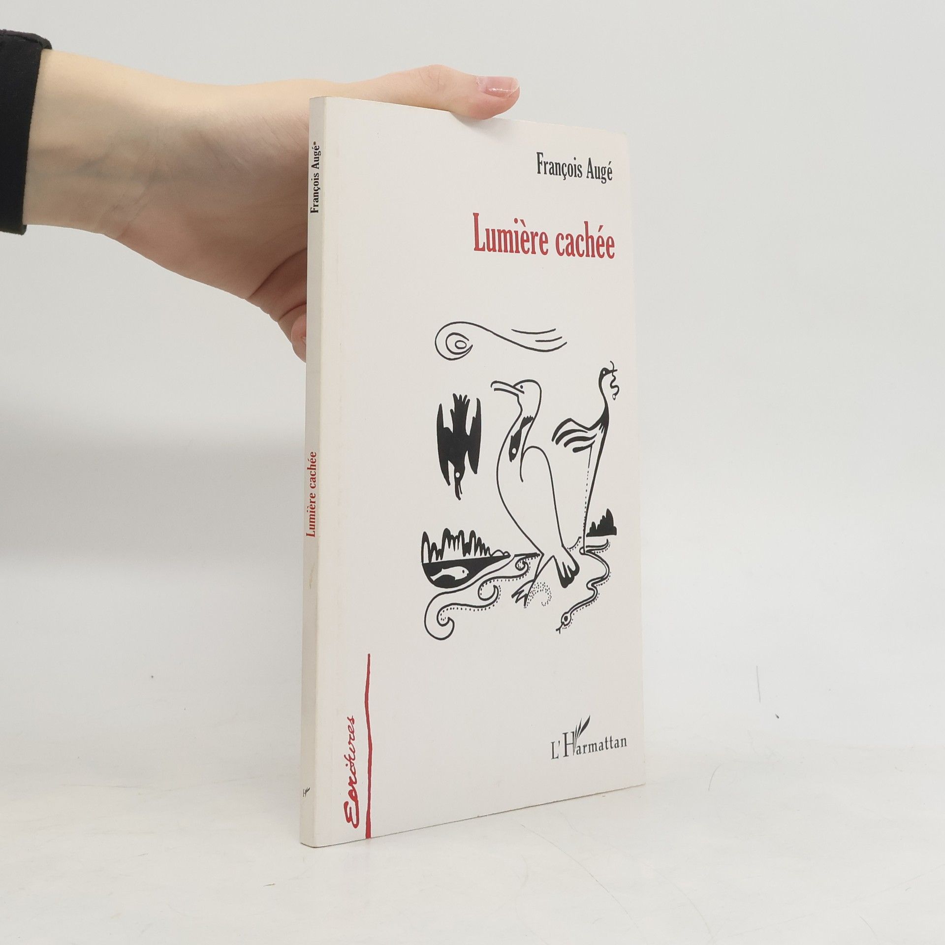 François Augé Lumière cachée