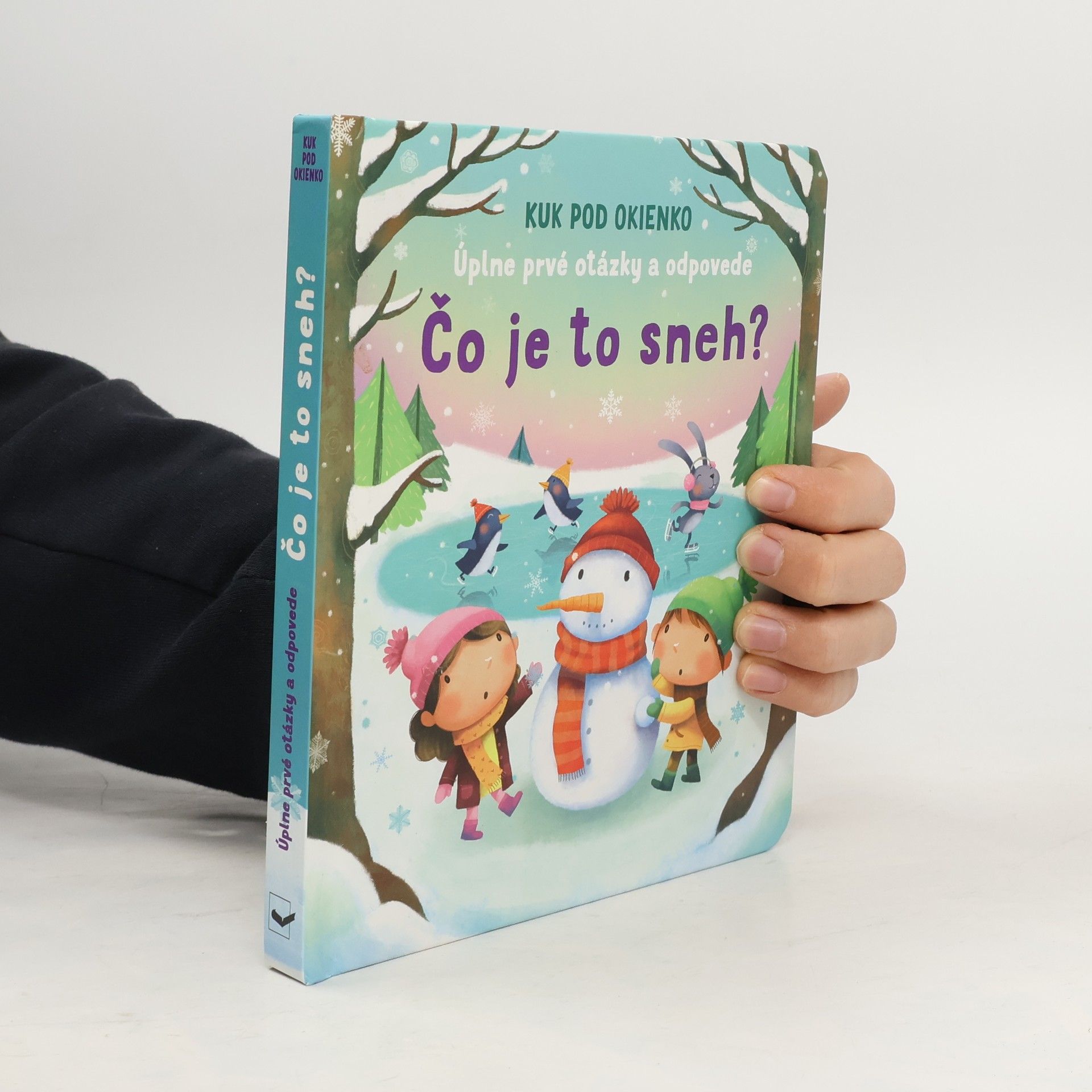 Kolektív autorov Čo je to sneh?