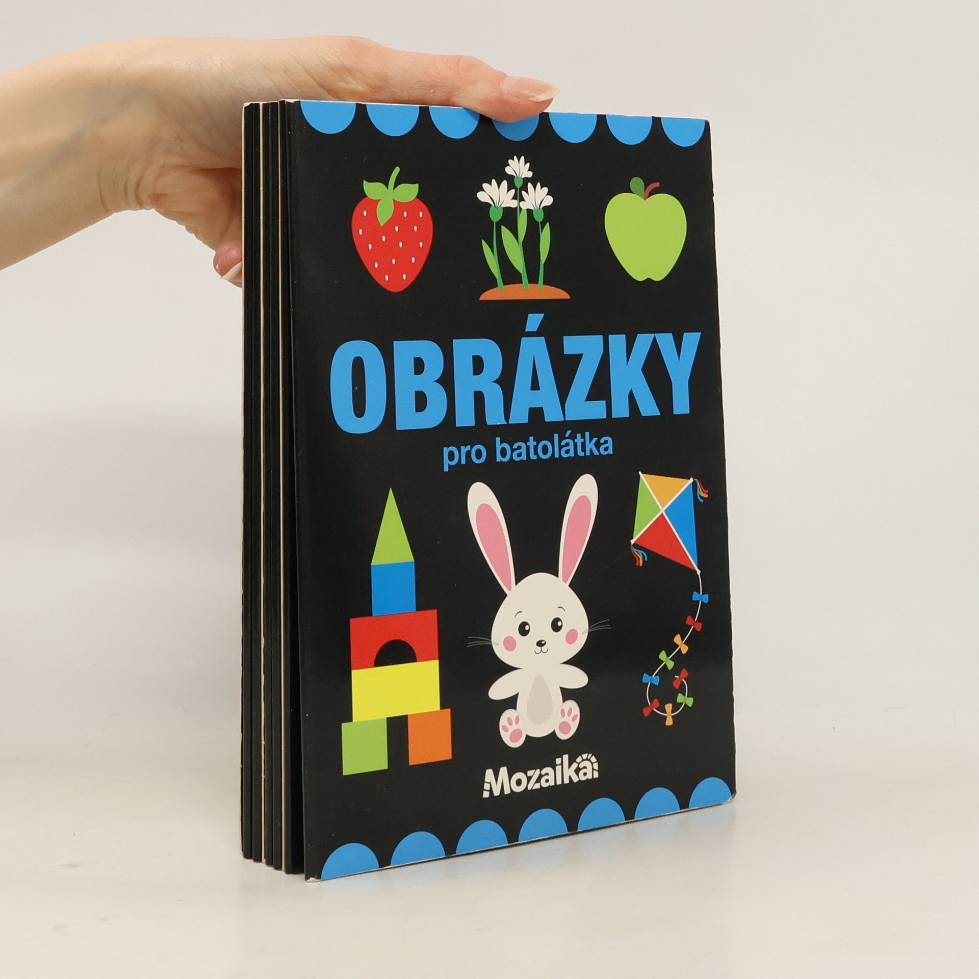 Collectif d'auteurs Obrázky pro batolátka