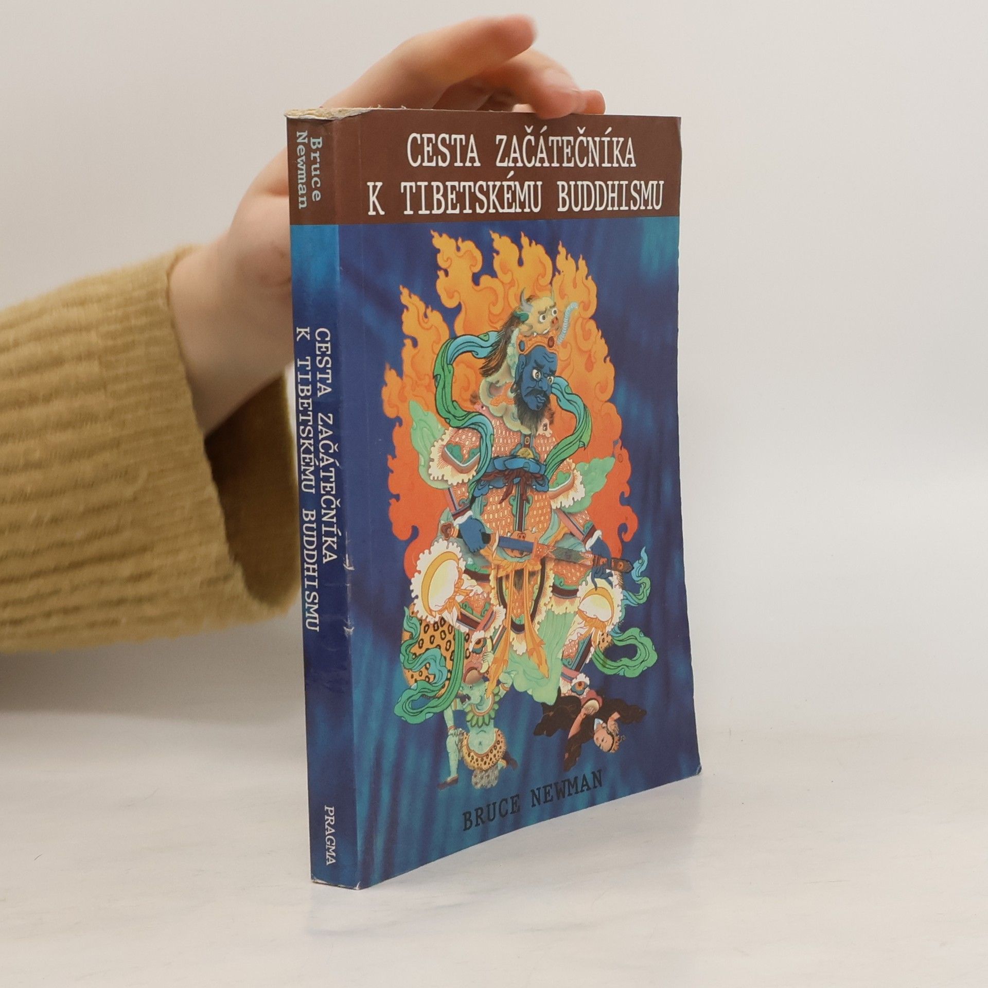 Josef Pecinovský Cesta začátečníka k tibetskému buddhismu. Zápisky z duchovní cesty