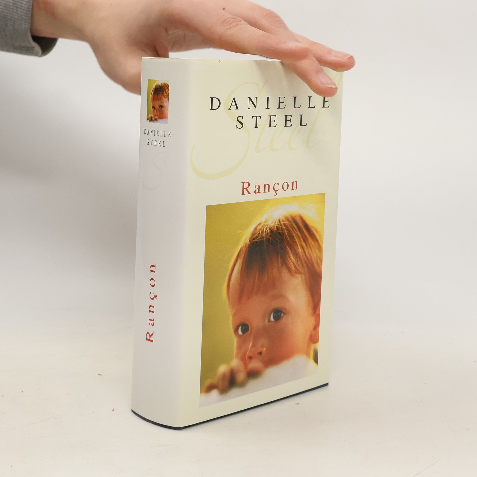 Danielle Steel Rançon