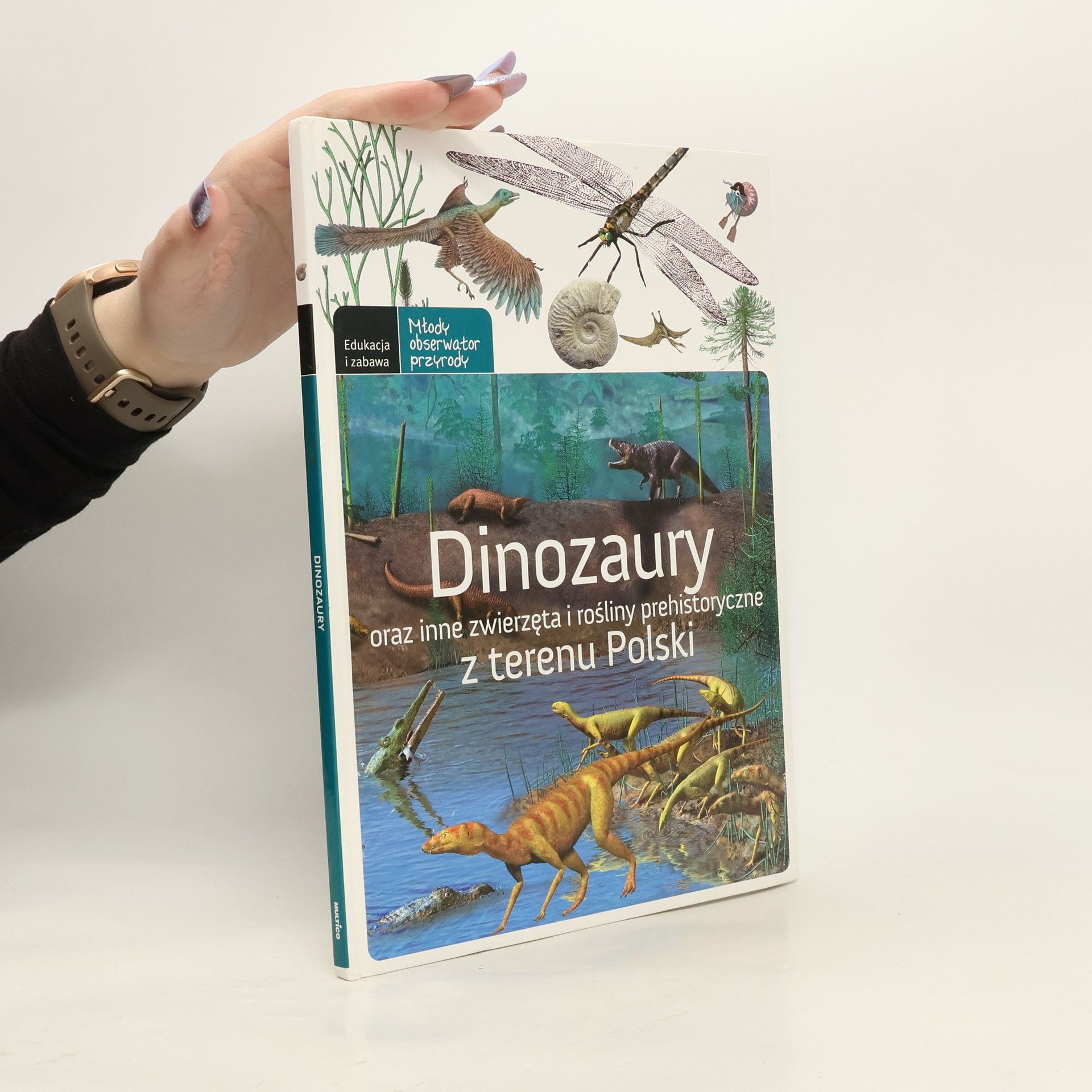 Autorenkollektiv Młody obserwator przyrody: Dinozaury oraz inne zwierzęta i rośliny prehistoryczne z terenu Polski