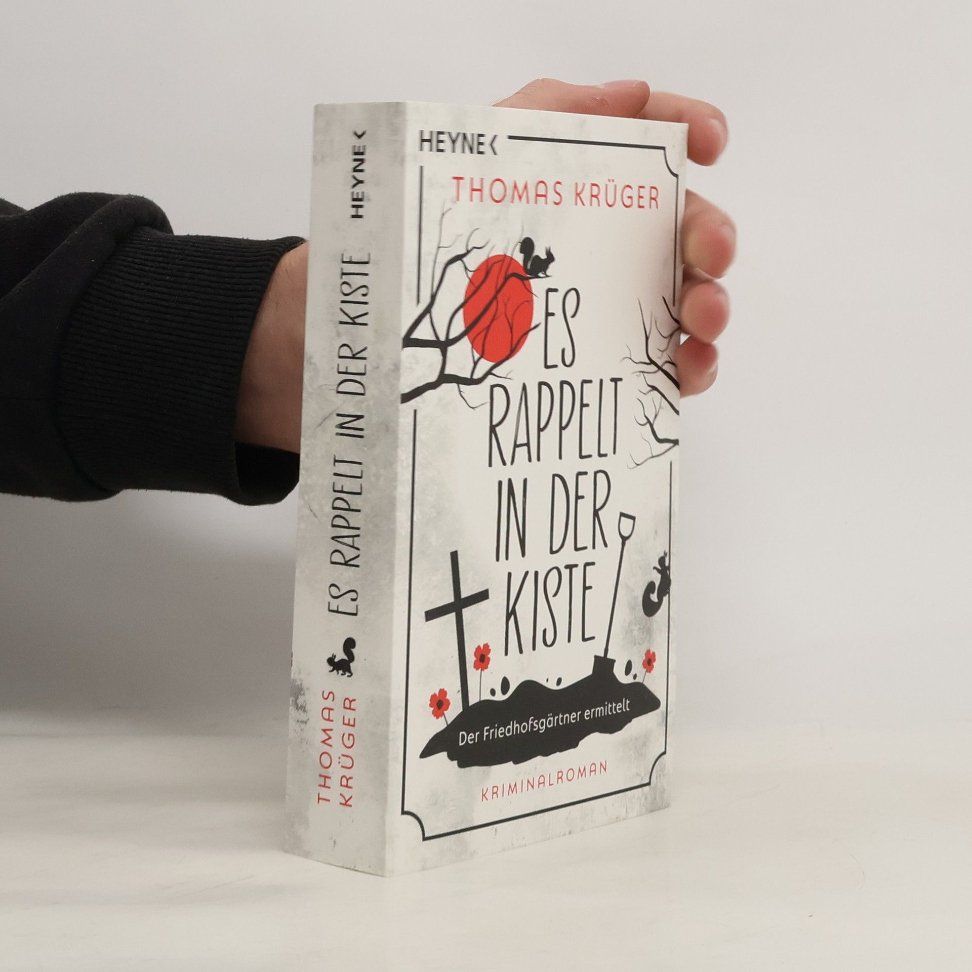 Es rappelt in der Kiste. Roman