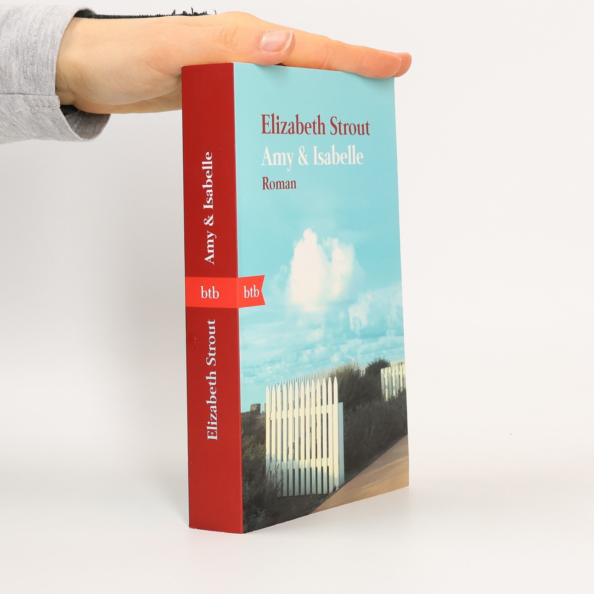 Elizabeth Strout Amy & Isabelle