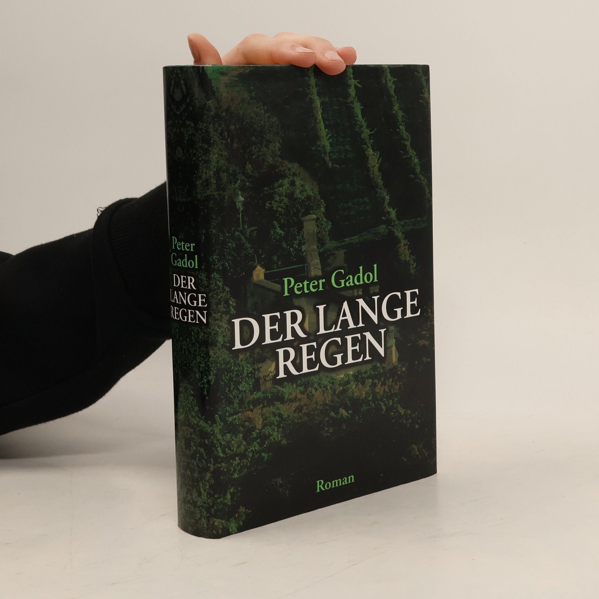 Peter Gadol Der lange Regen