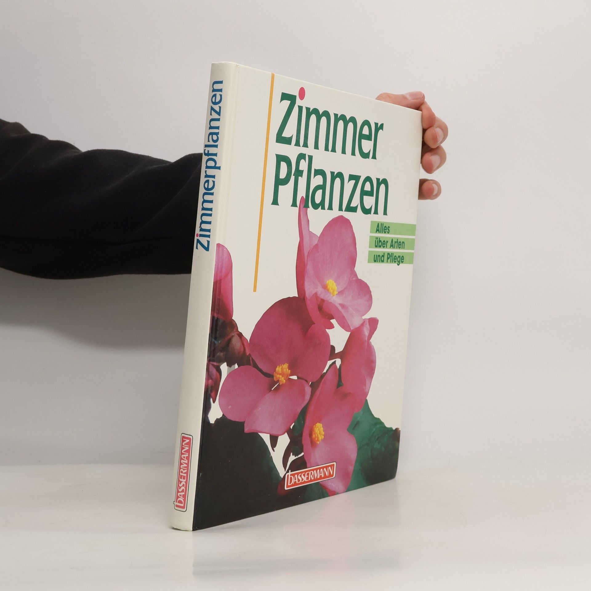 Zimmer Pflanzen