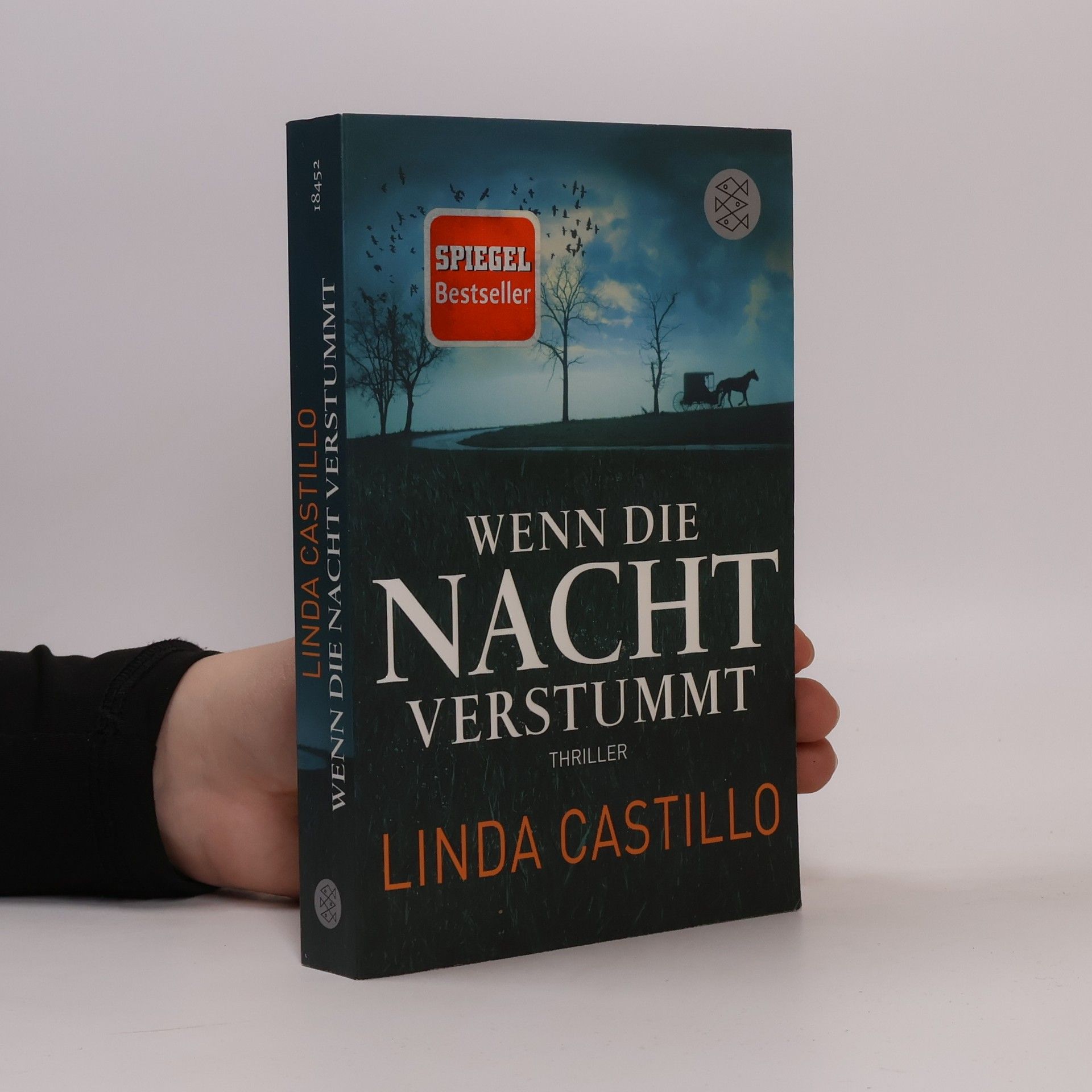 Linda Castillo Wenn die Nacht verstummt