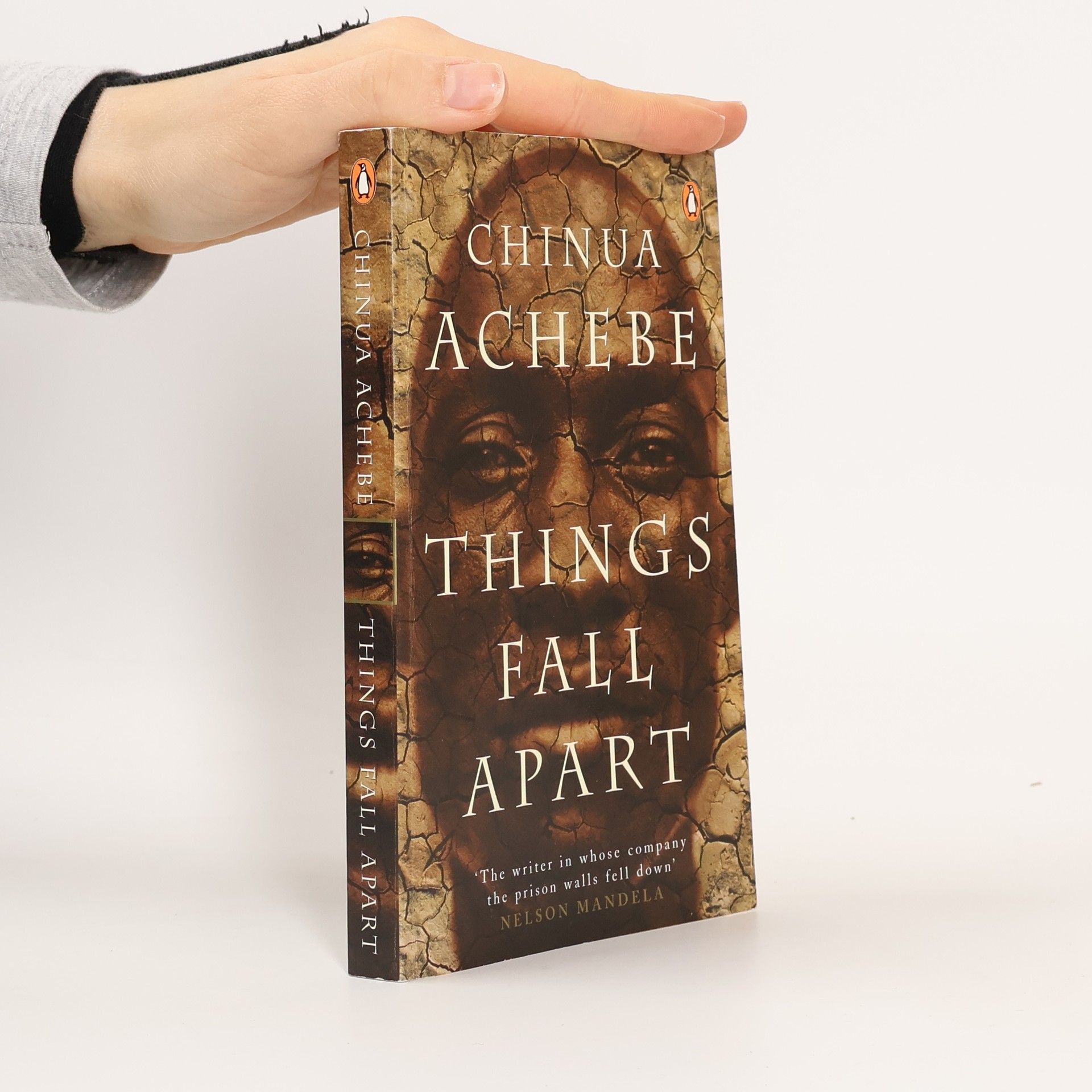 Chinua Achebe Things Fall Apart