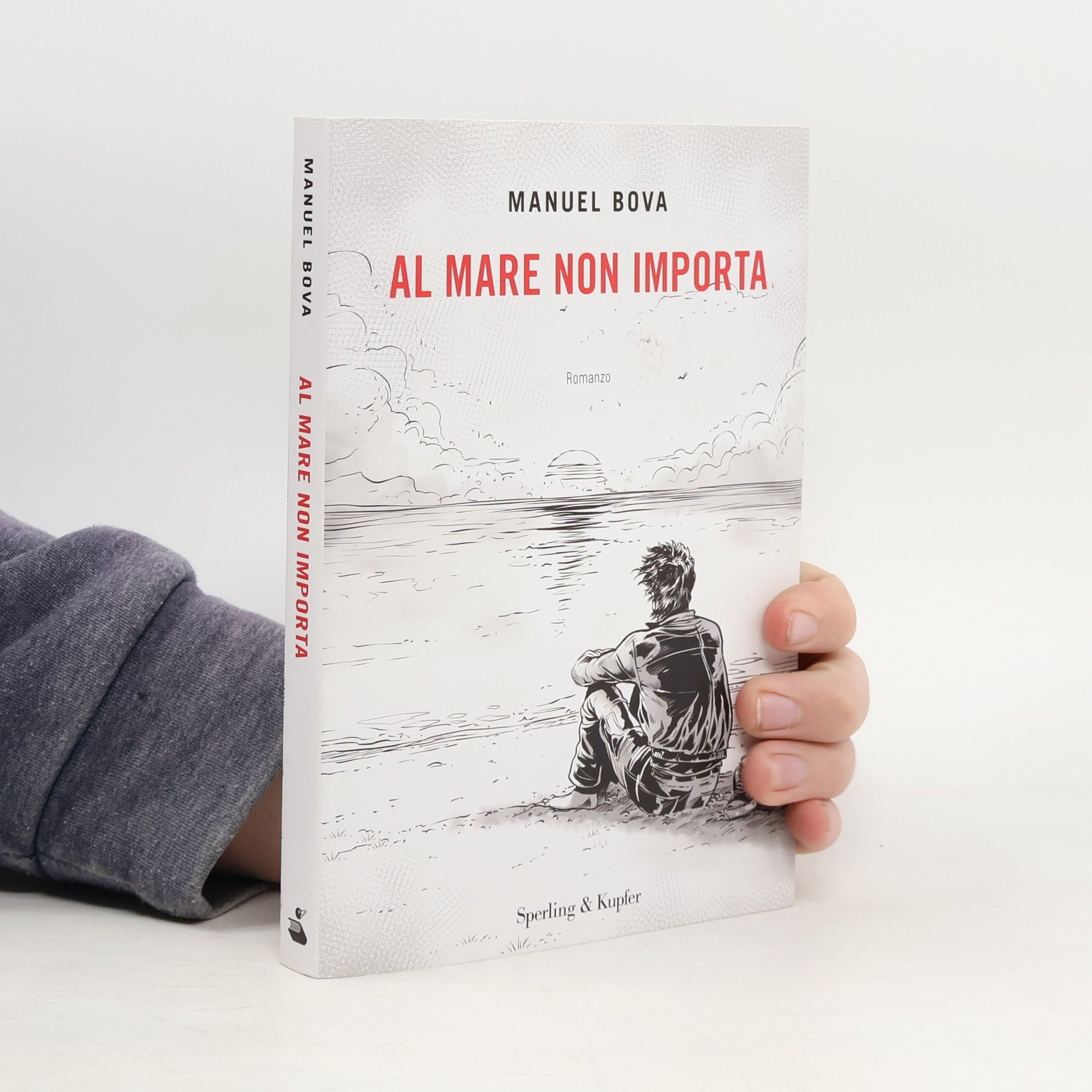 Manuel Bova Al mare non importa