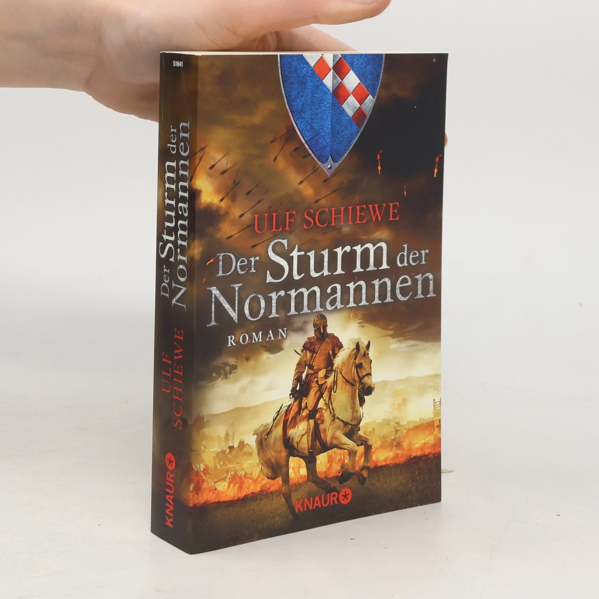 Der Sturm der Normannen