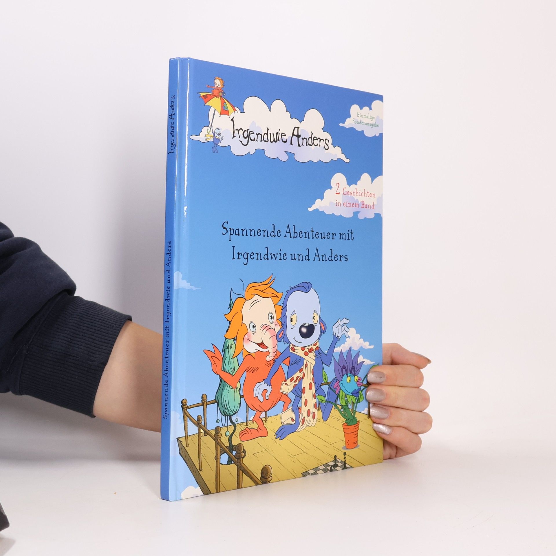Autorenkollektiv Spannende Abenteuer mit Irgendwie und Anders