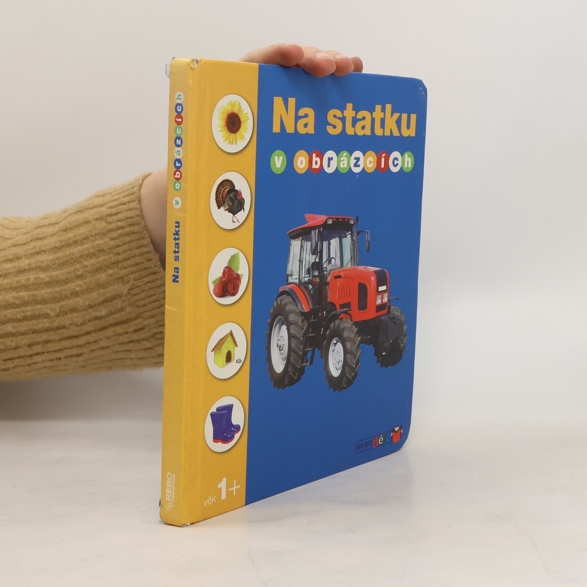 Na statku v obrázcích