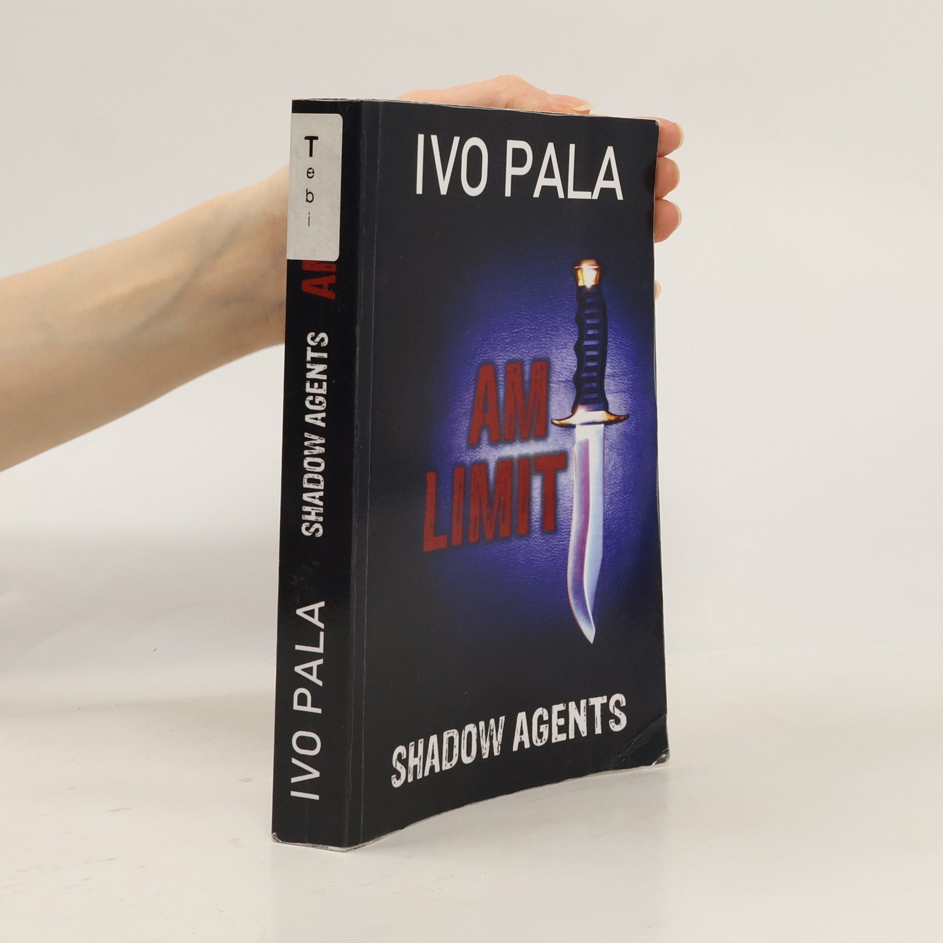 Ivo Pala Shadow Agents