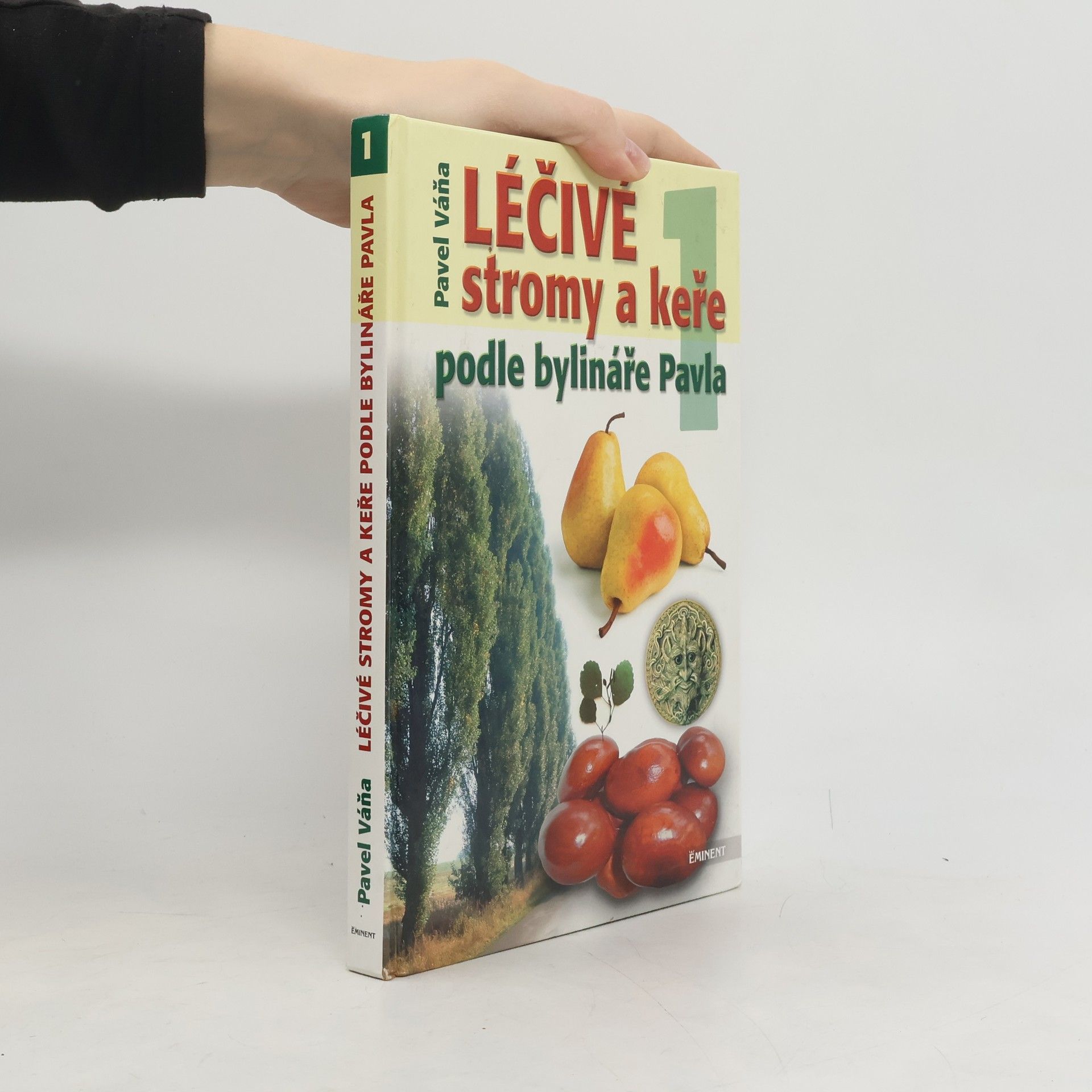 Léčivé stromy a keře podle bylináře Pavla 1