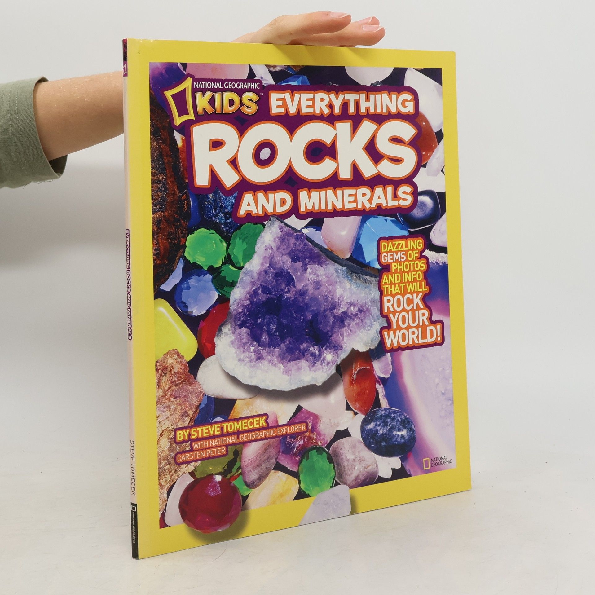 Steve Tomecek Everything Rocks and Minerals