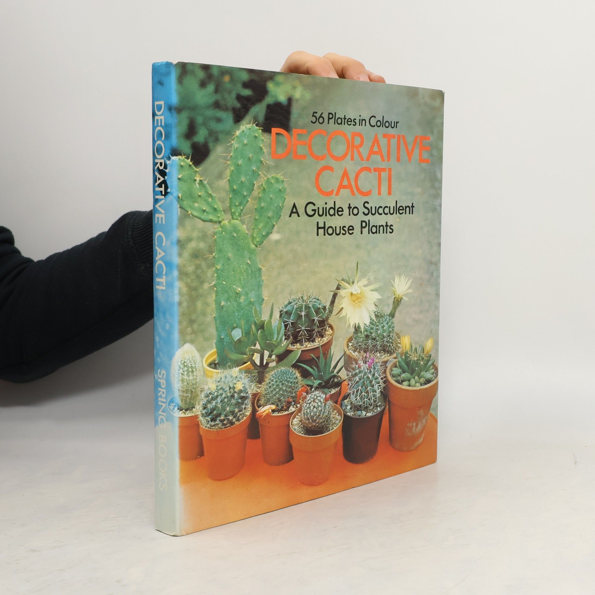 Rudolf Šubík Decorative cacti