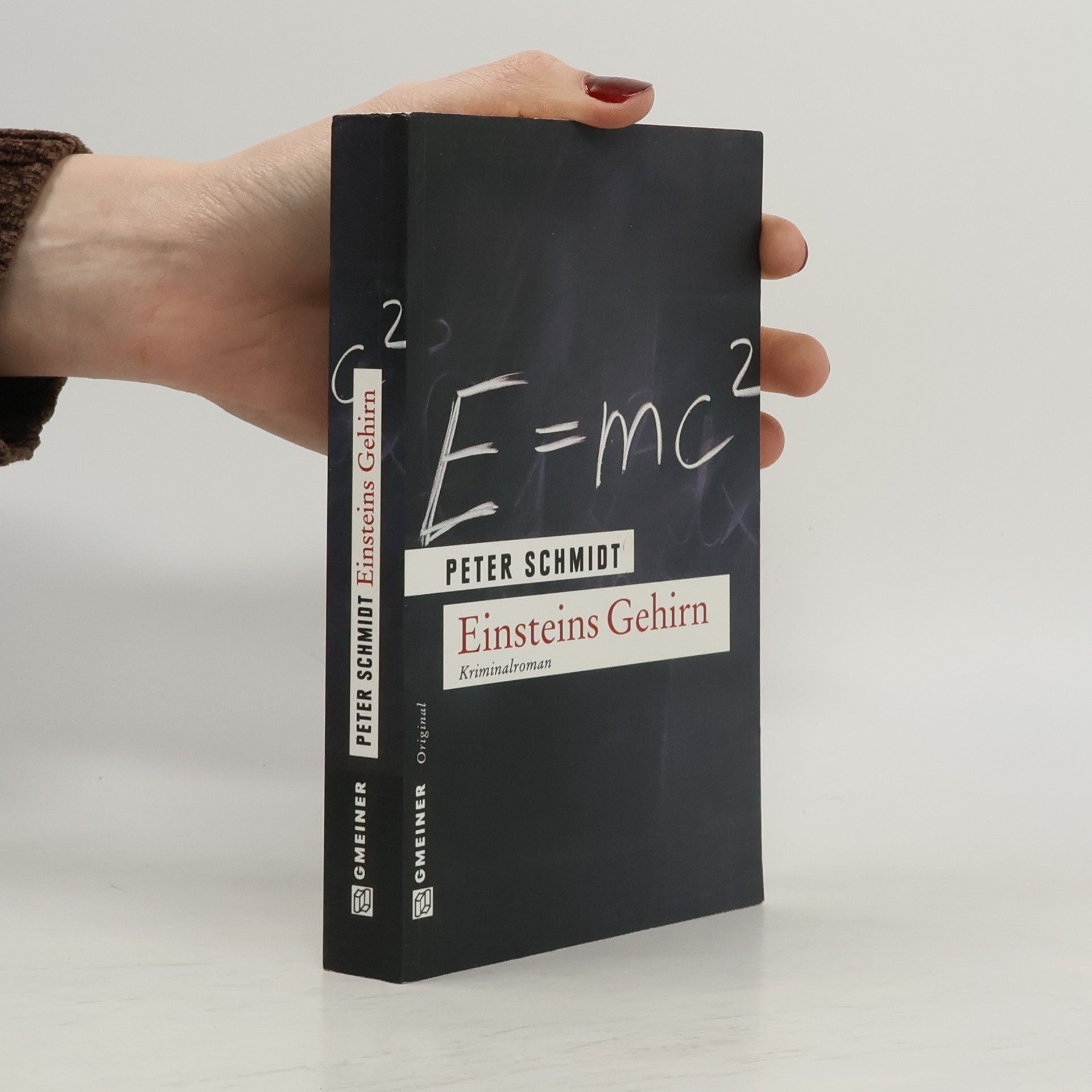 Peter Schmidt Einsteins Gehirn