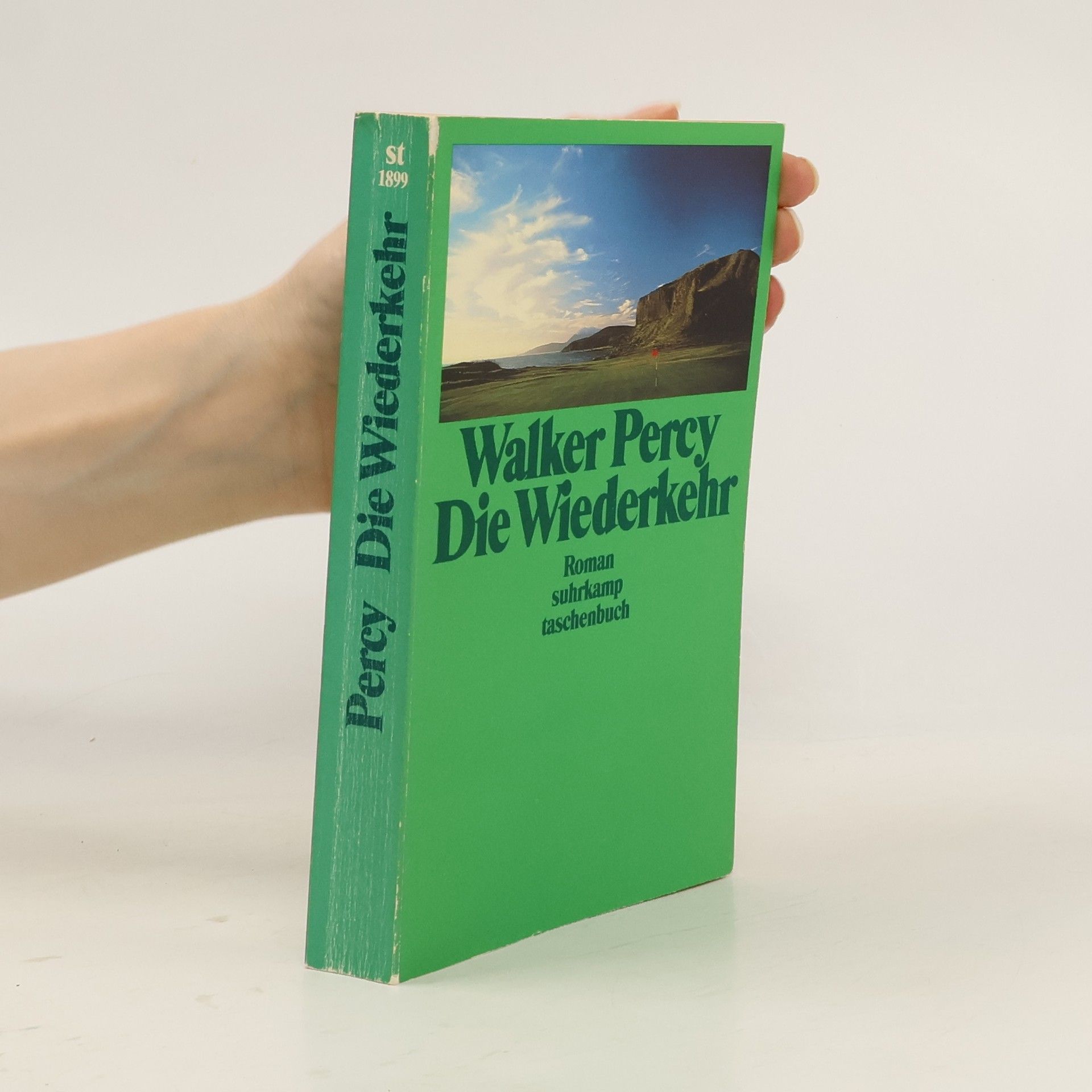 Die Wiederkehr. Roman