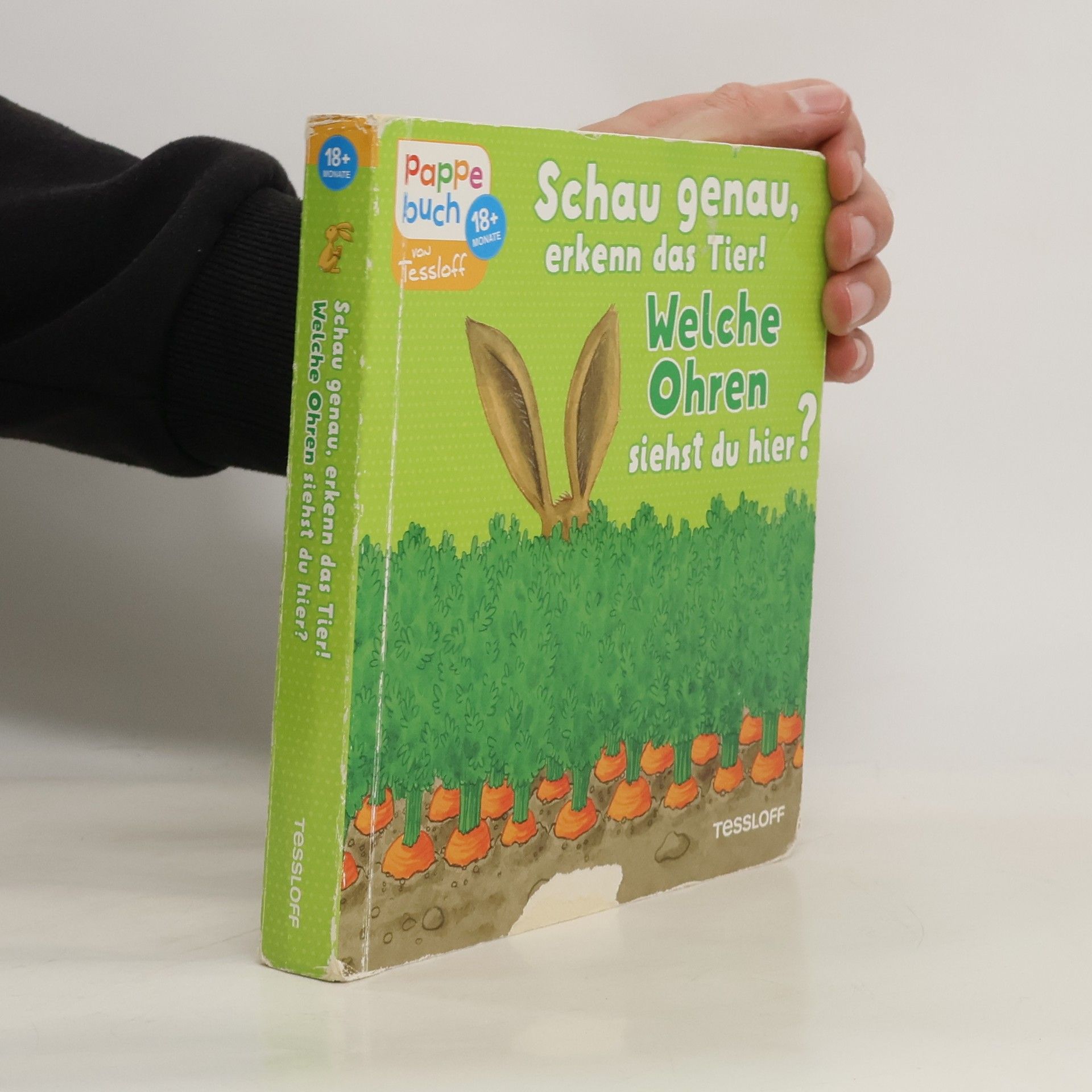 Sandra Reckers Schau genau, erkenn das Tier! Welche Ohren siehst du hier?