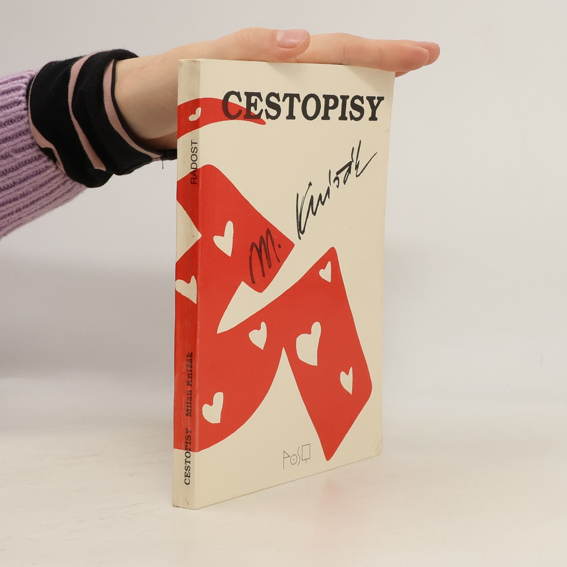 Milan Knížák Cestopisy